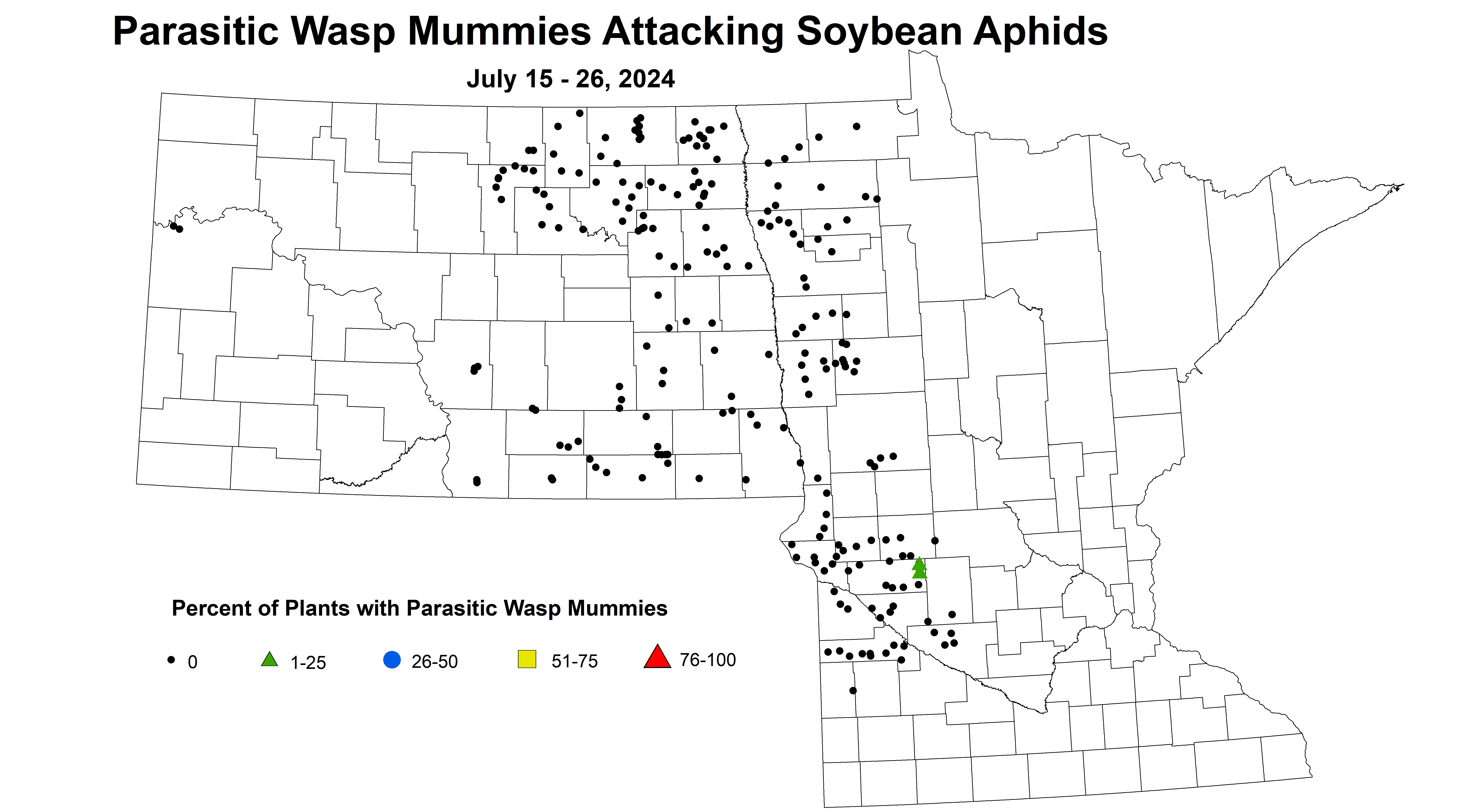 soybean mummies July 15-26 2024