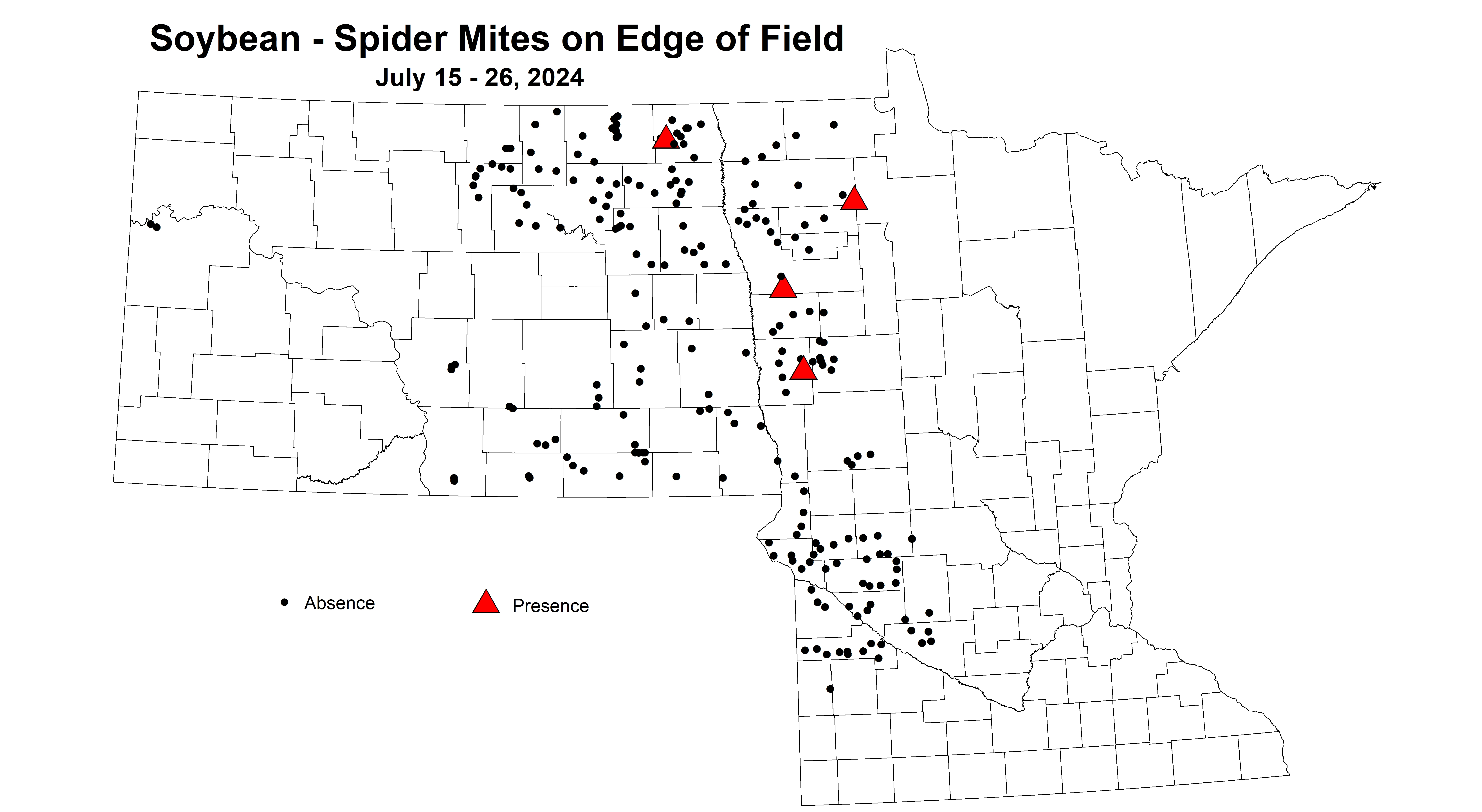 soybean spider mites on edge of field July 15-26 2024