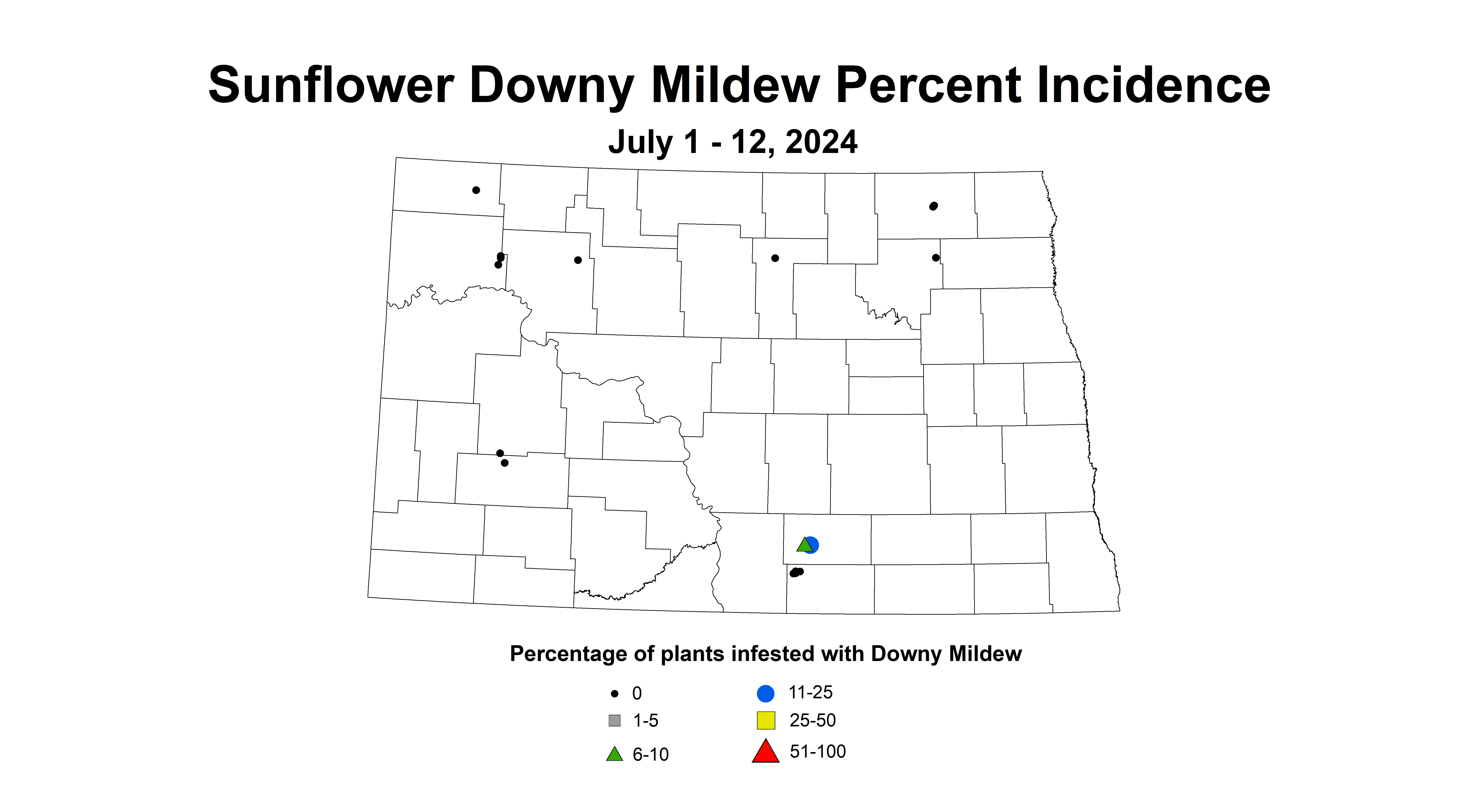 sunflower downy mildew July 1 - 12 2024