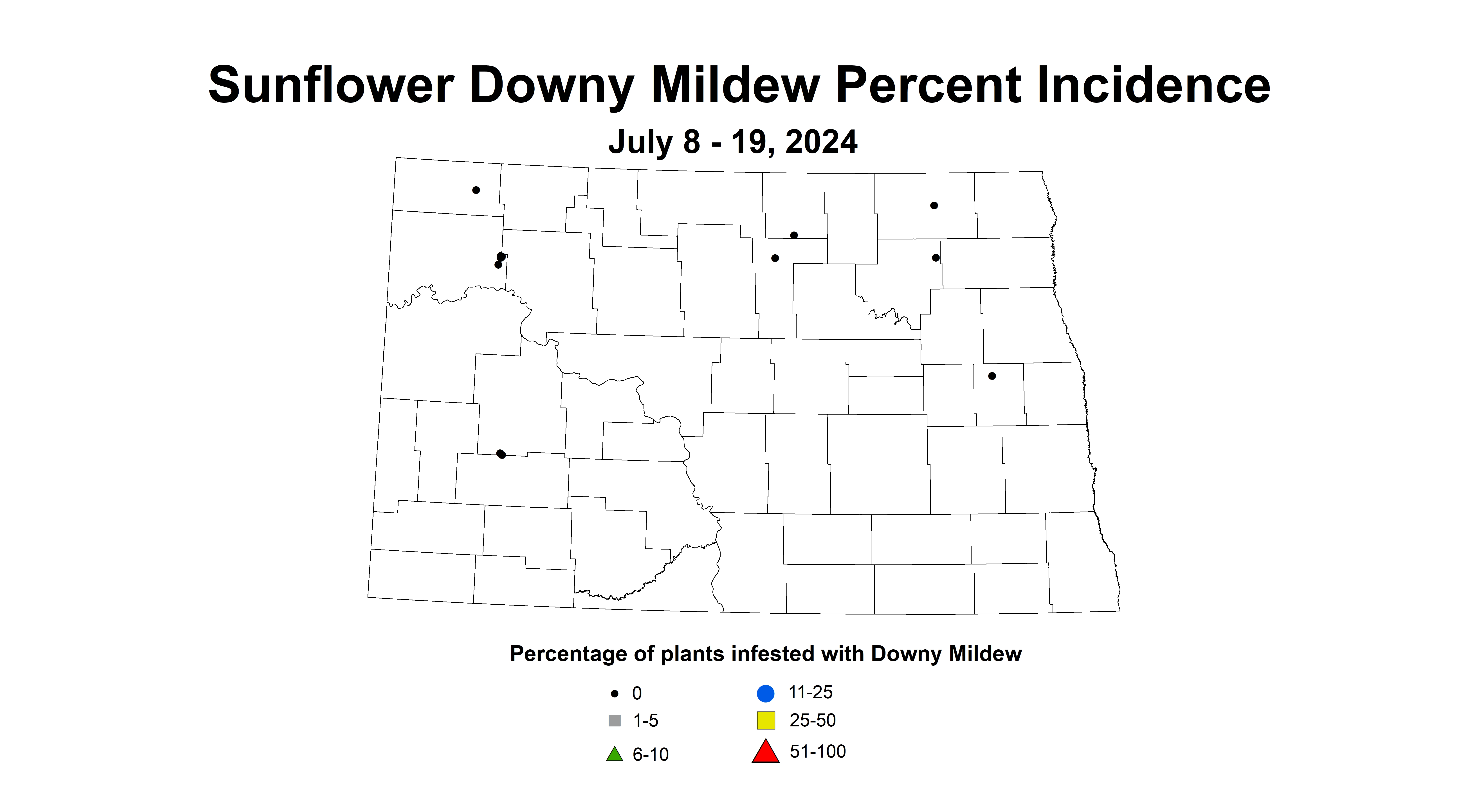 sunflower downy mildew July 8 - 19 2024