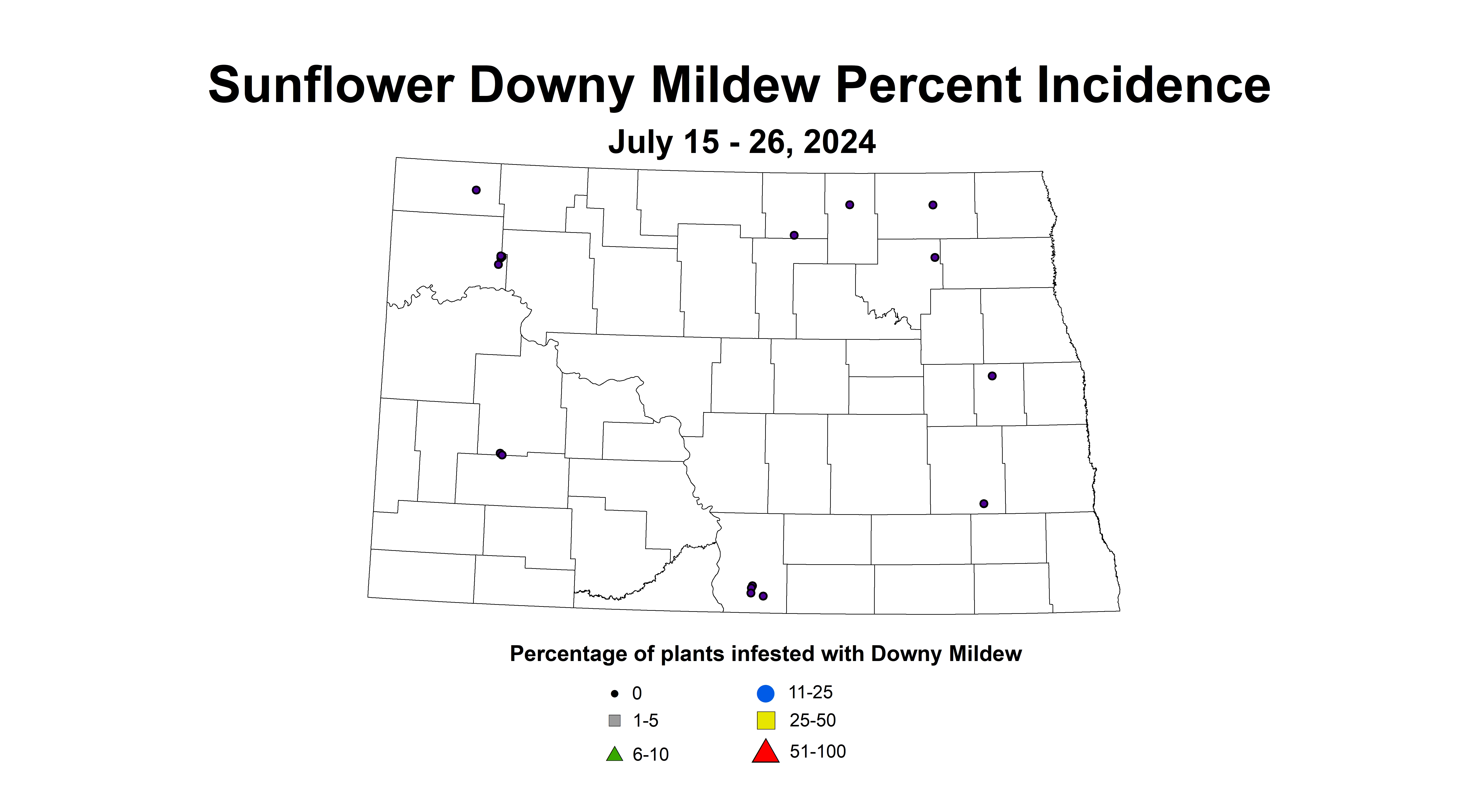 sunflower downy mildew incidence July 15 - 26 2024