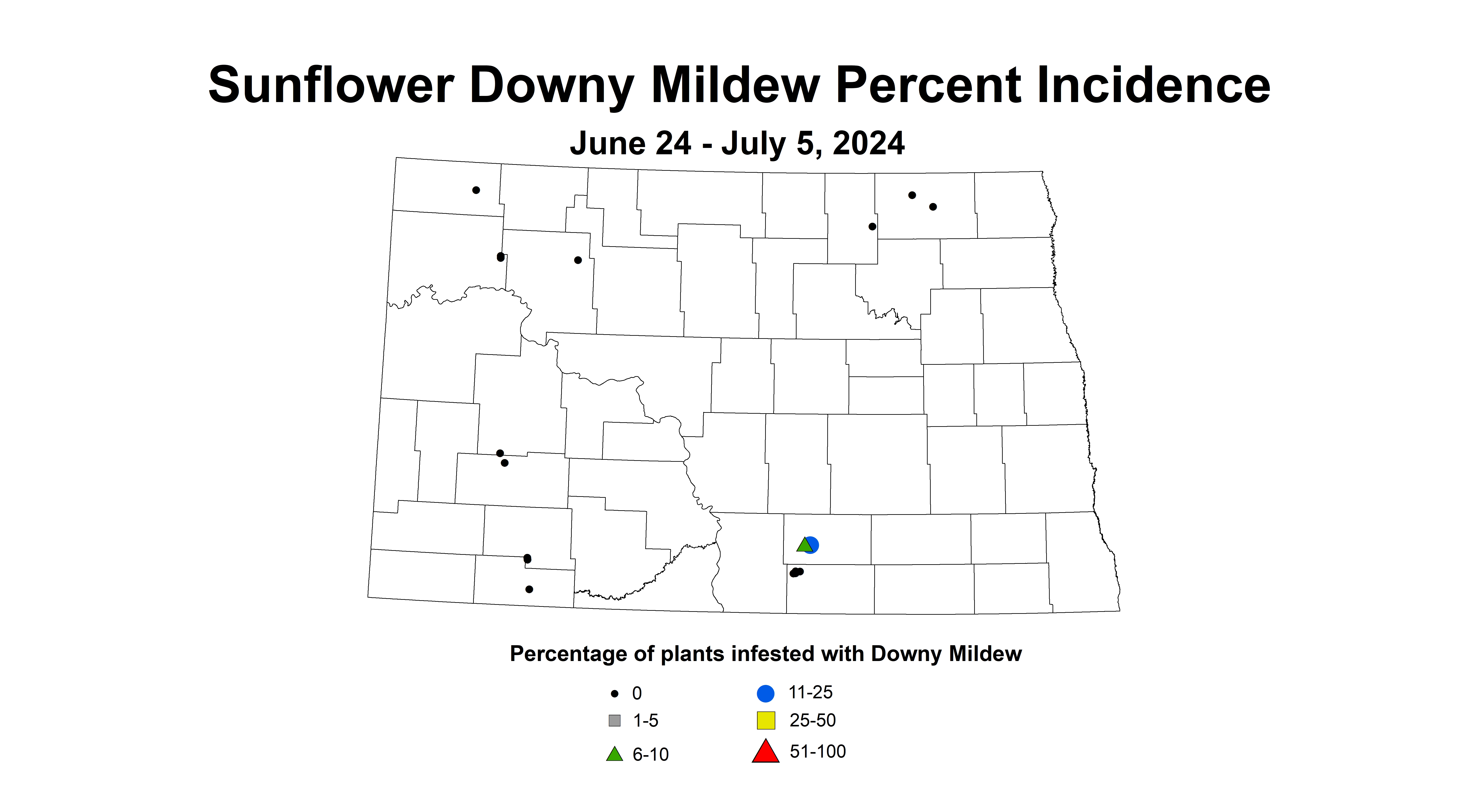sunflower downy mildew incidence June 24 to July 5 2024