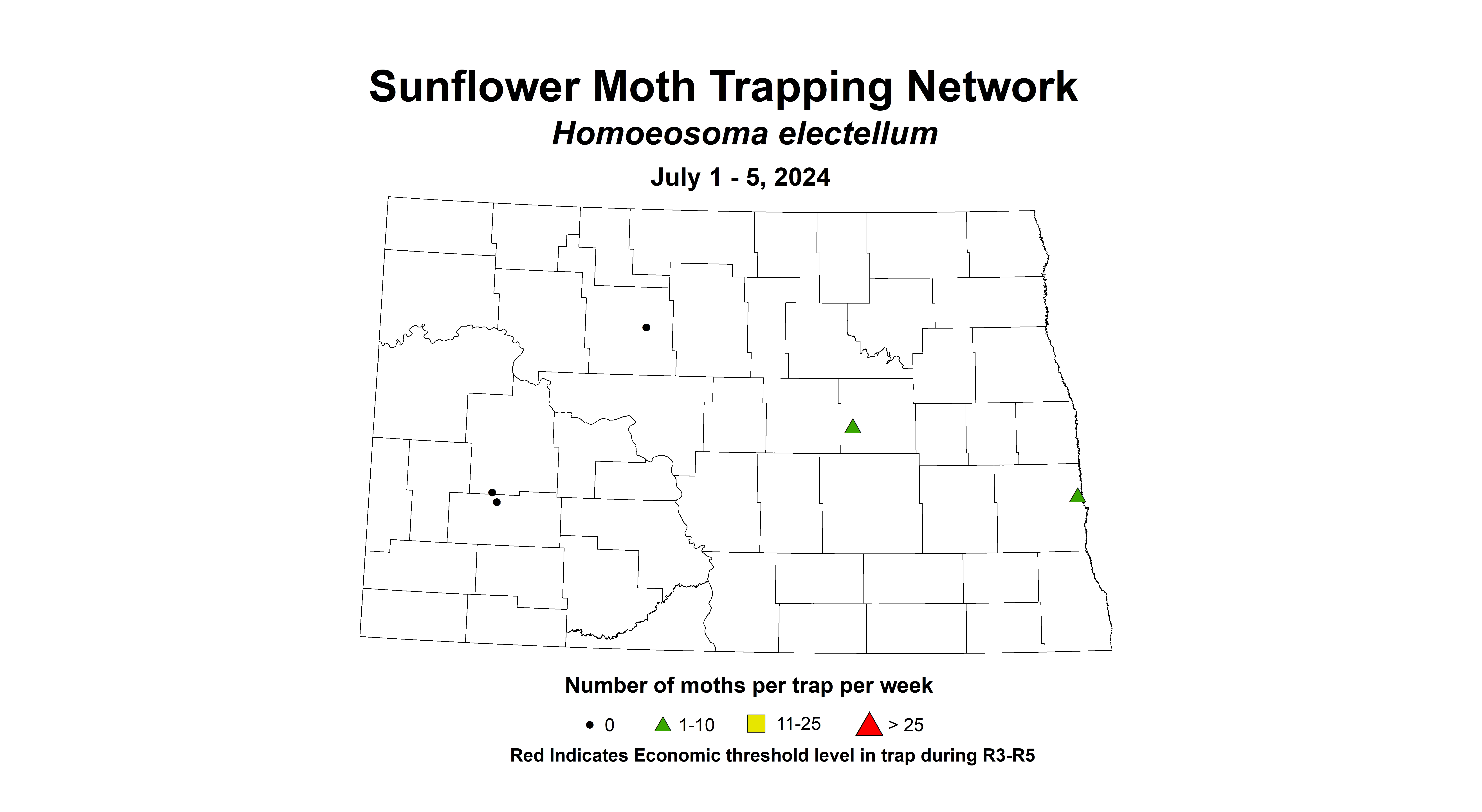sunflower moth July 1 - 5 2024