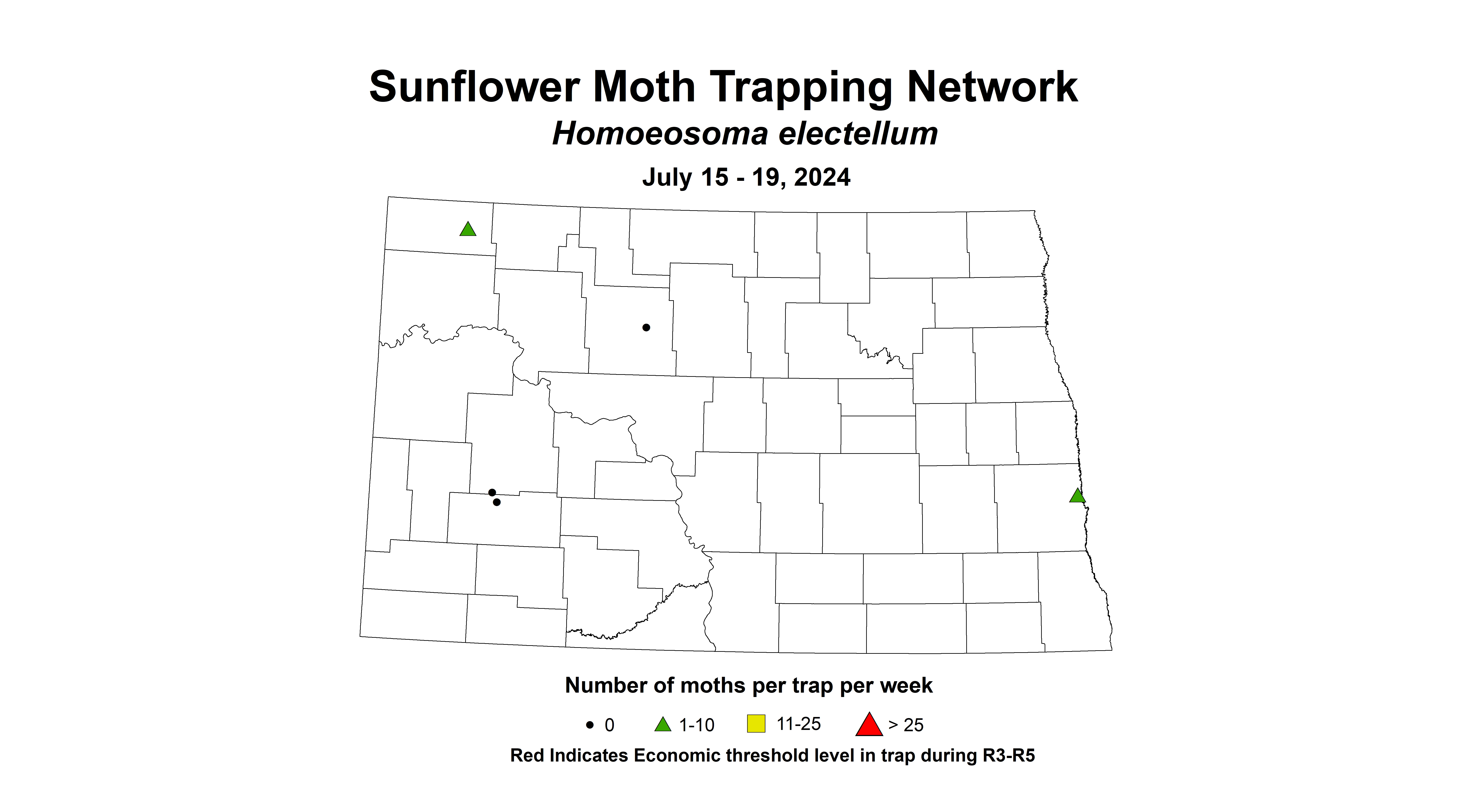 sunflower moth July 15 - 19 2024
