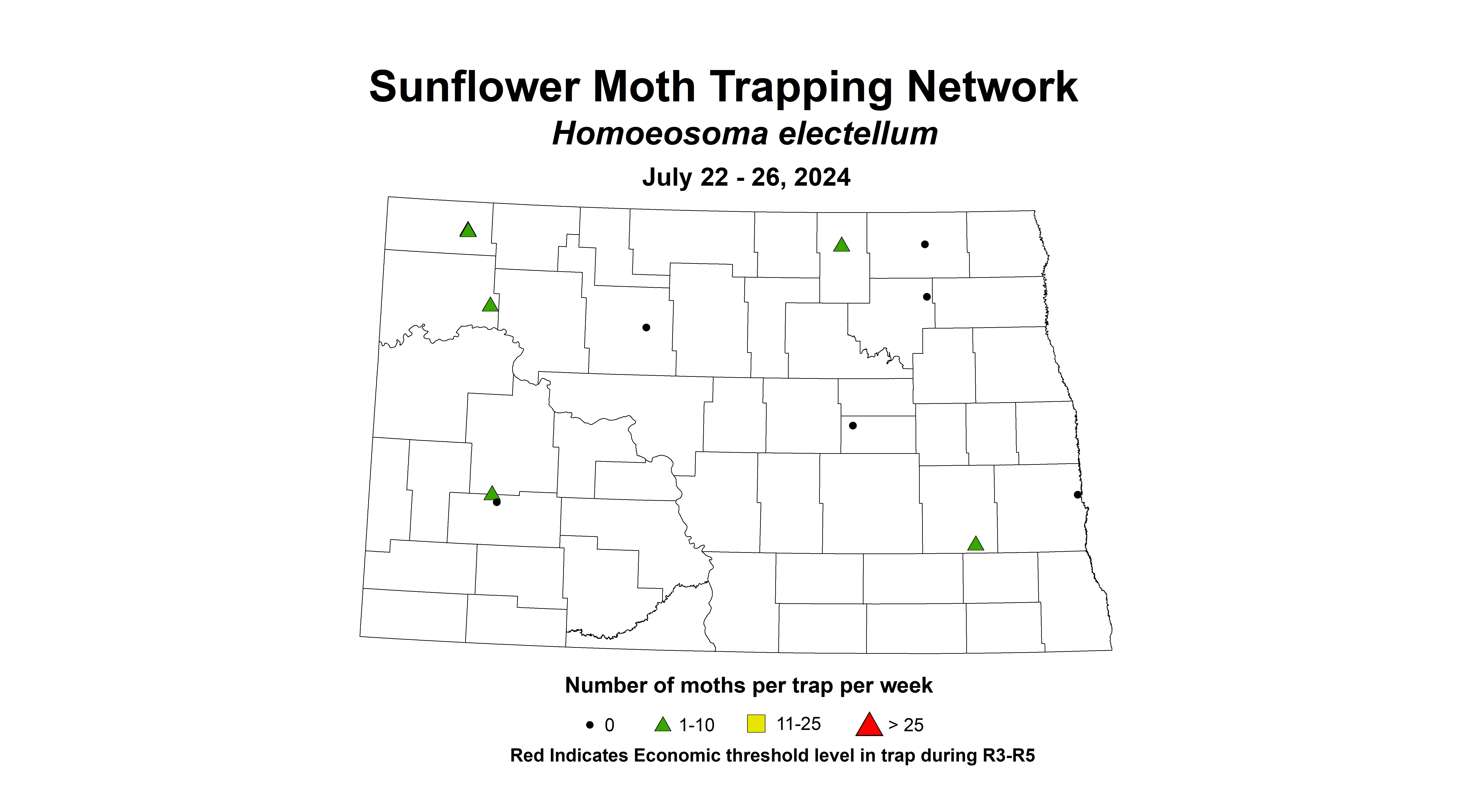 sunflower moth July 22 - 26 2024