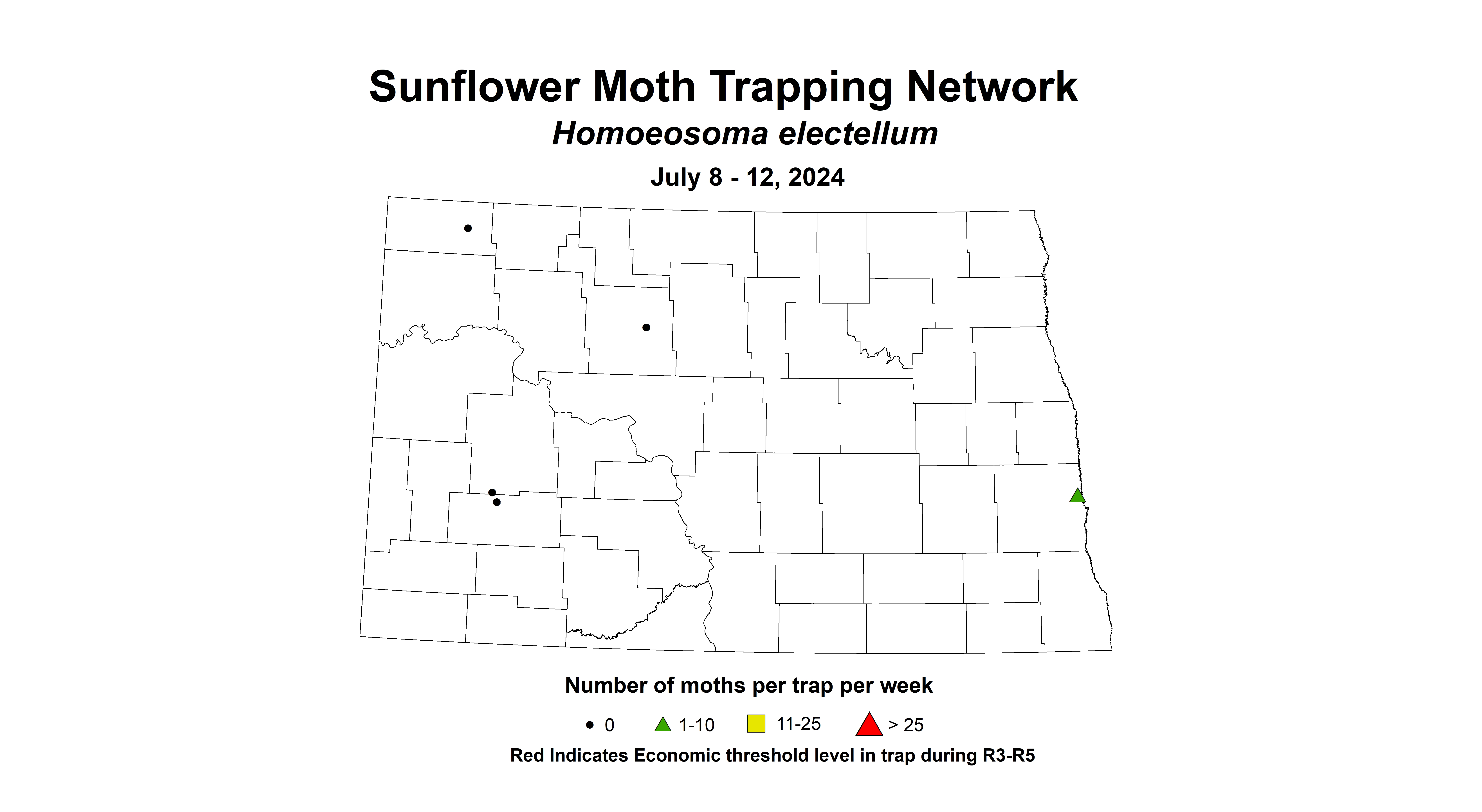 sunflower moth July 8 - 12 2024