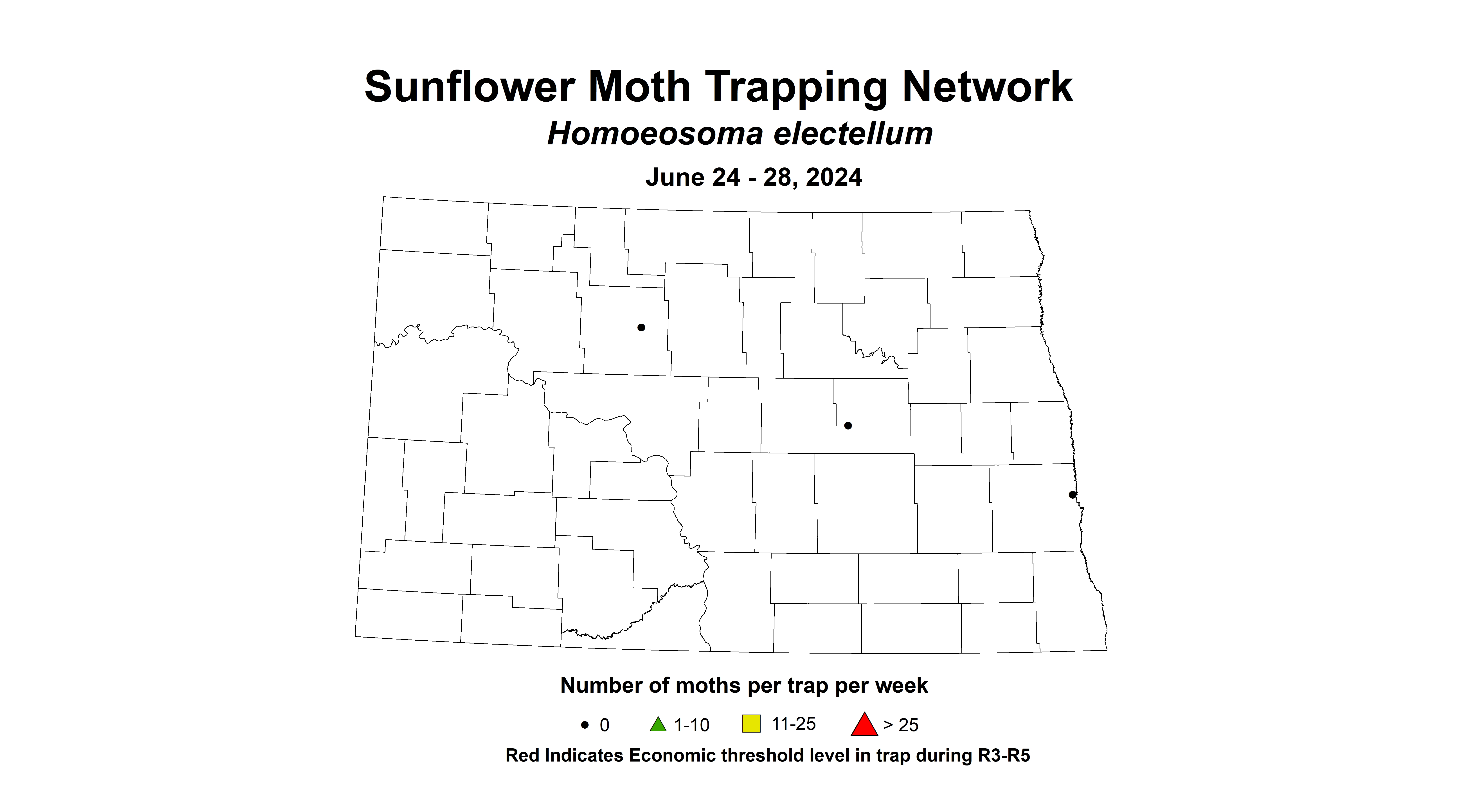 sunflower moth June 24-28 2024