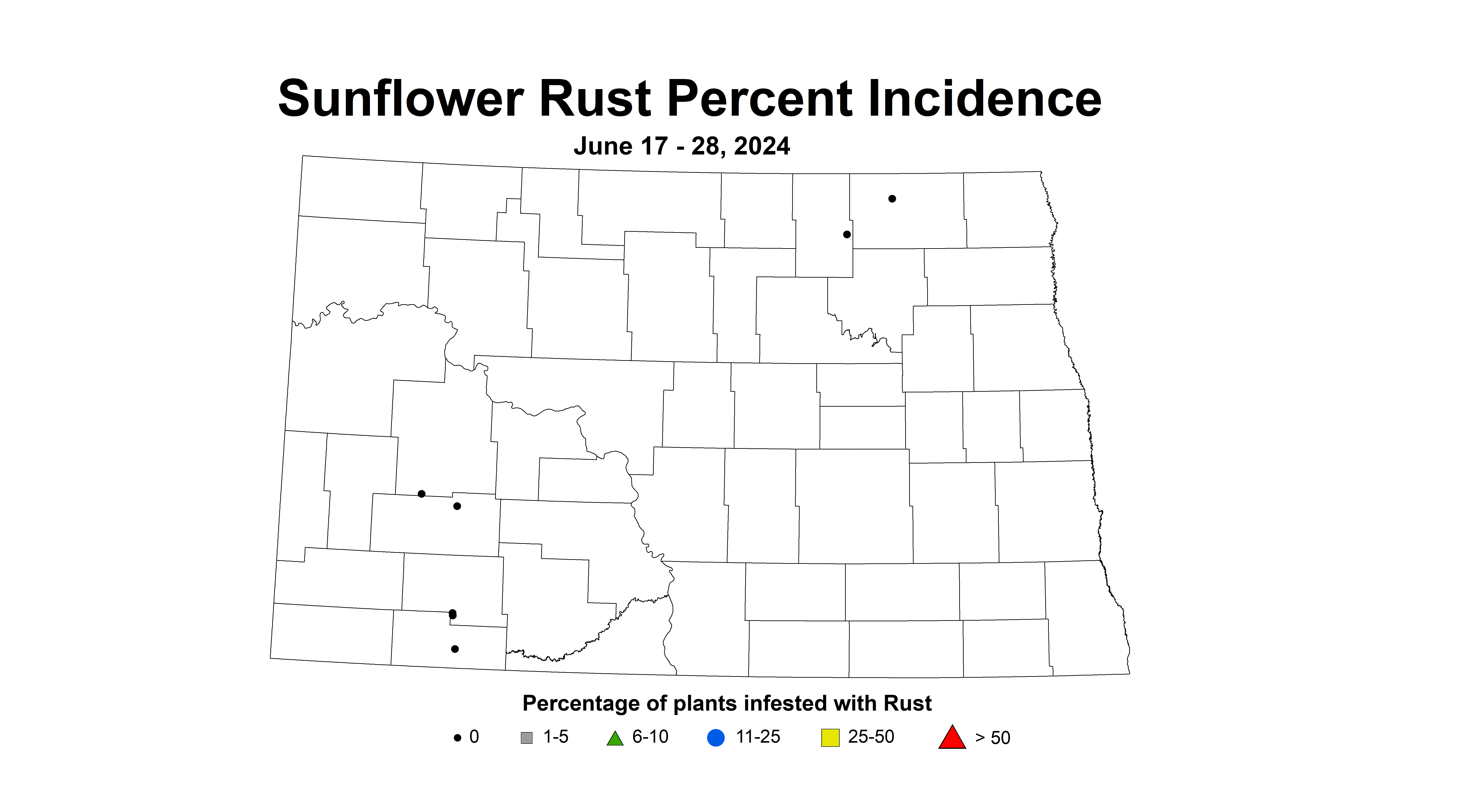 sunflower rust incidence June17-28 2024