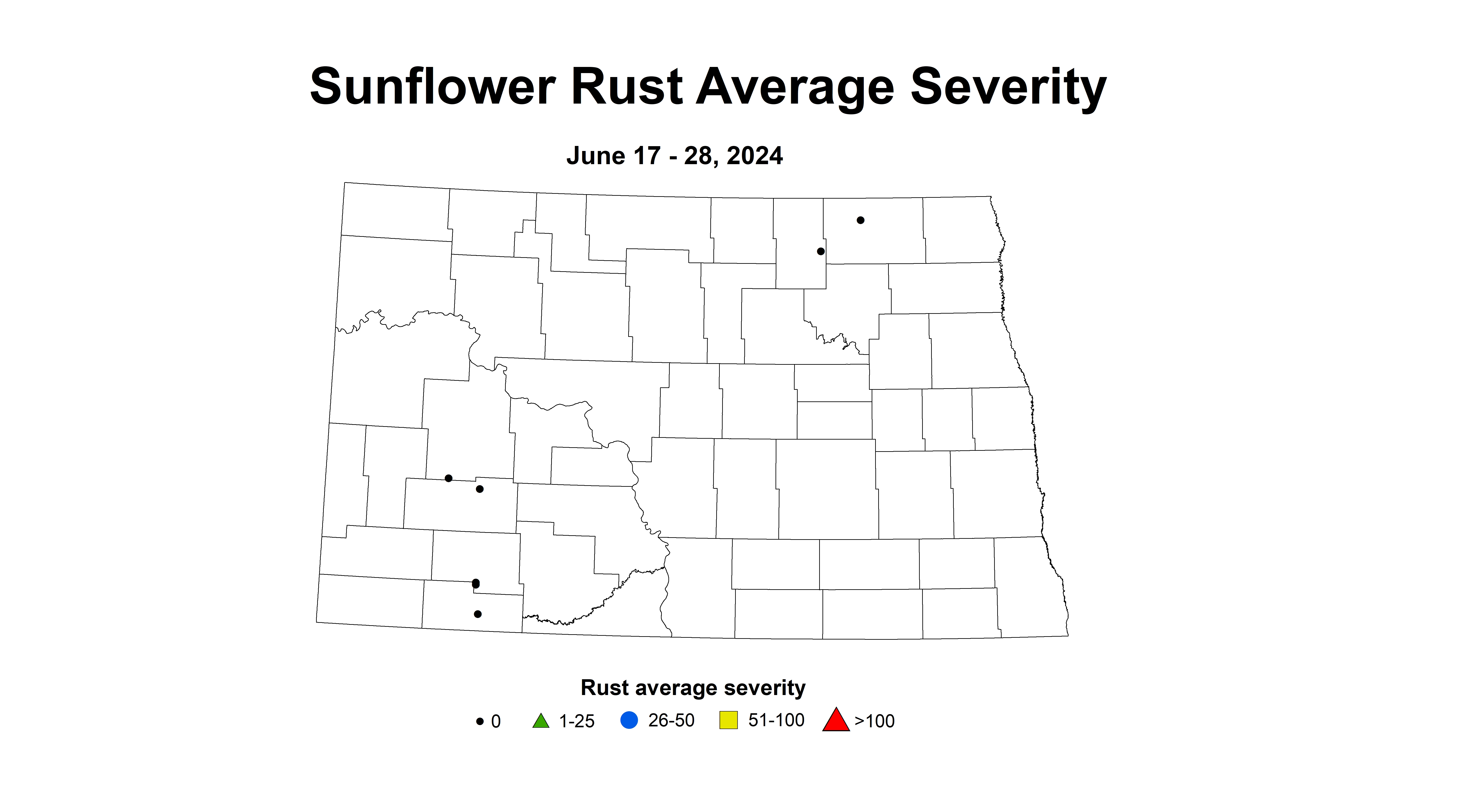 sunflower rust severity June17-28 2024
