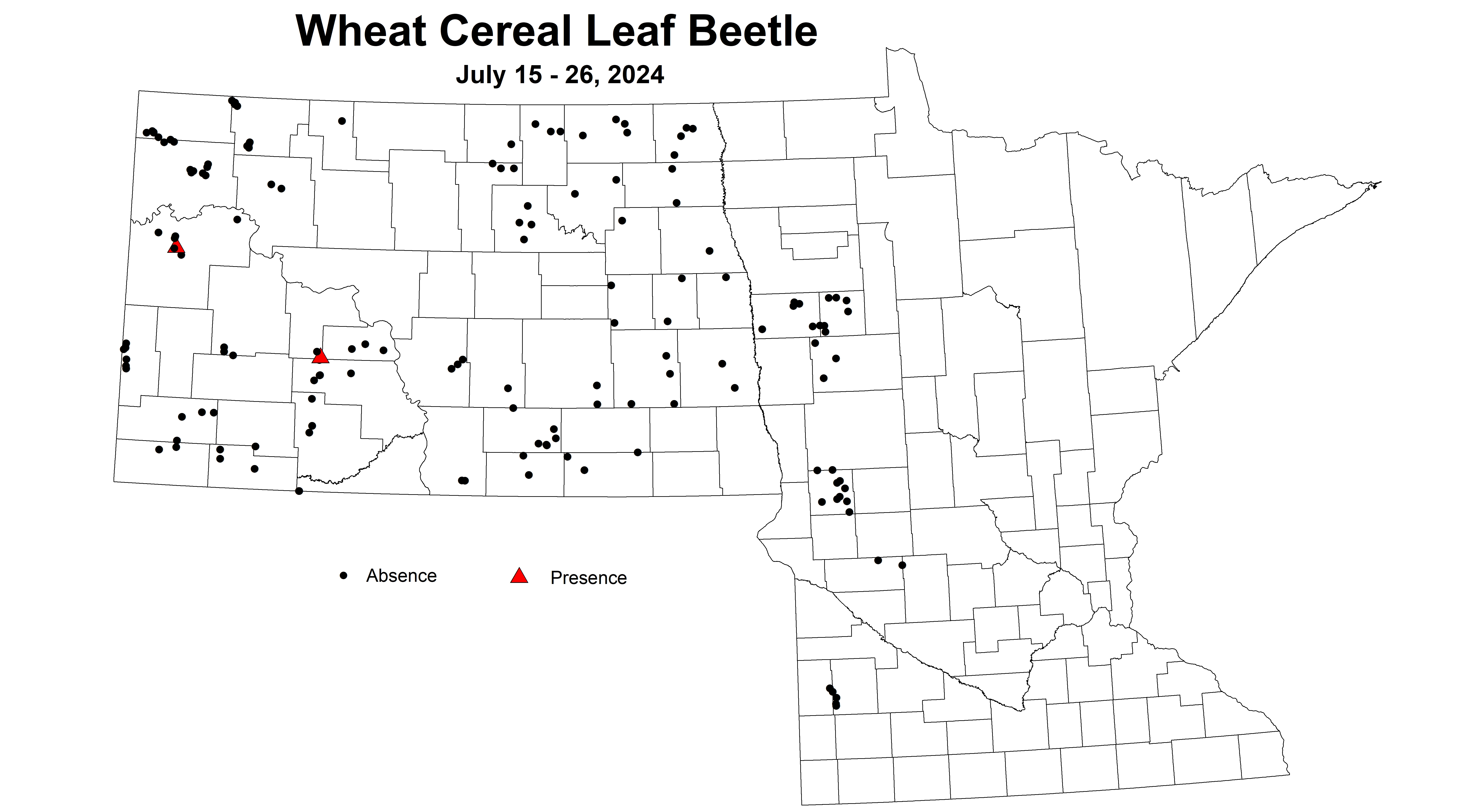 wheat CLB 7.15-7.26 2024