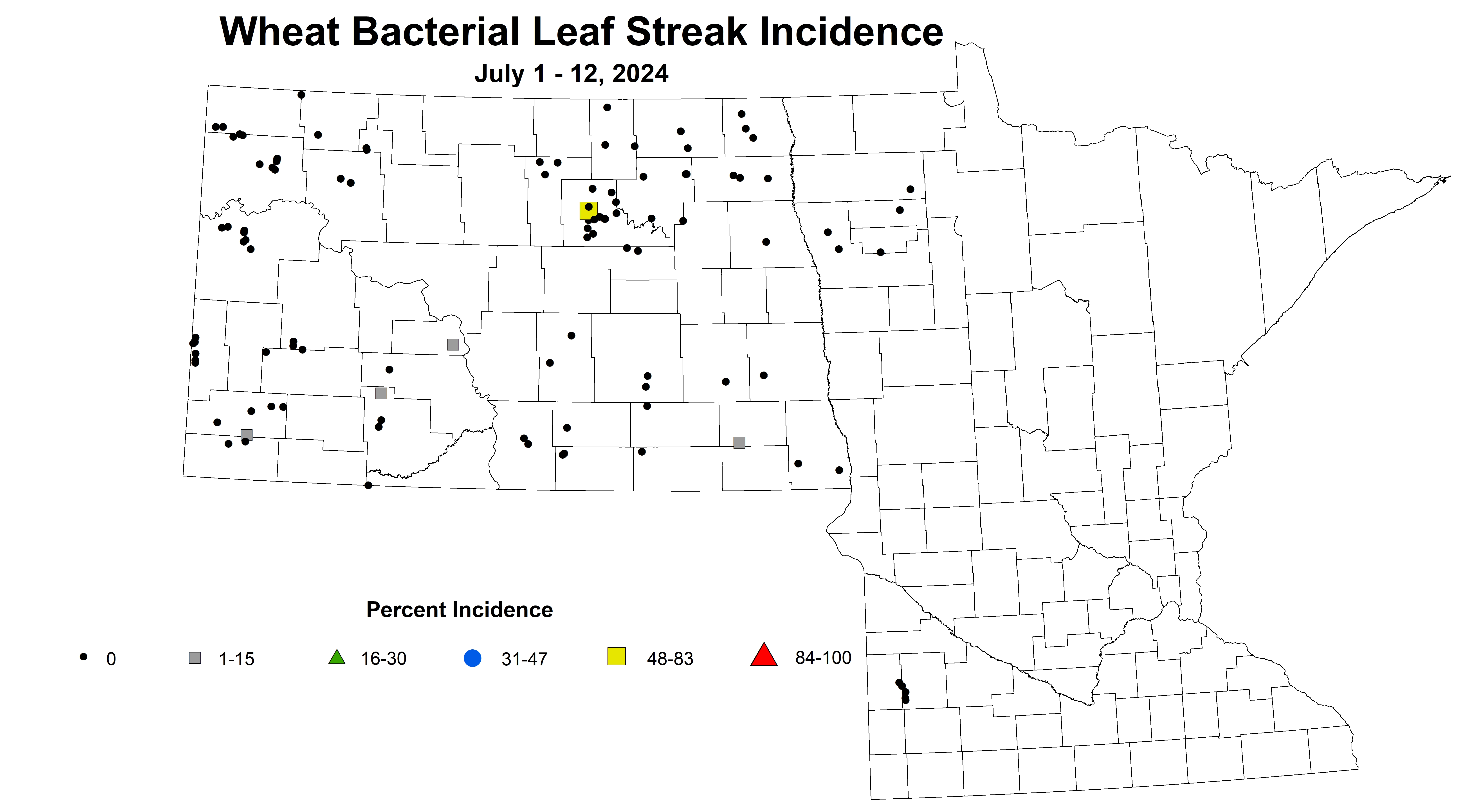 wheat bacterial leaf streak incidence 2024 7.1-7.12