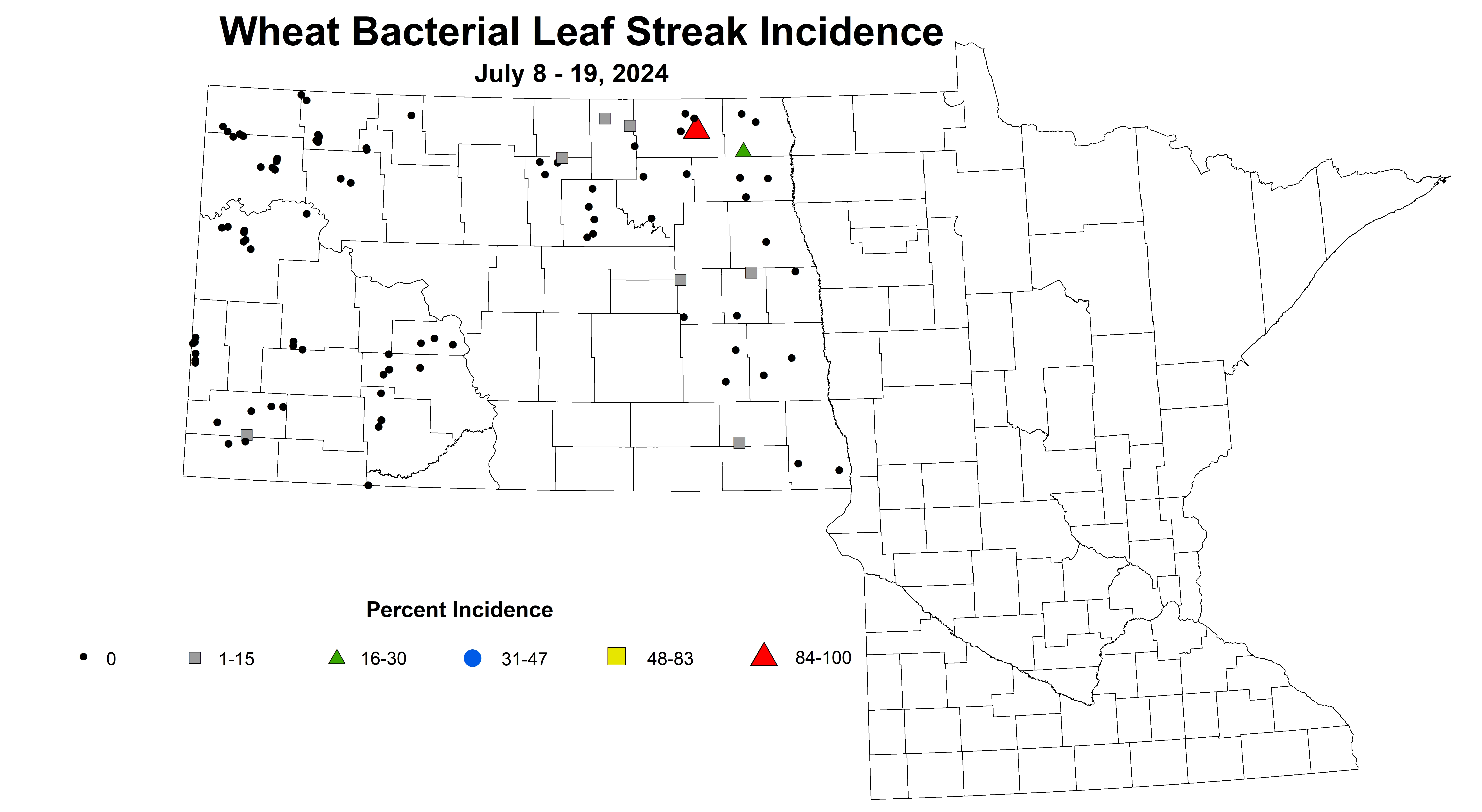 wheat bacterial leaf streak incidence 7.8-7.19 2024