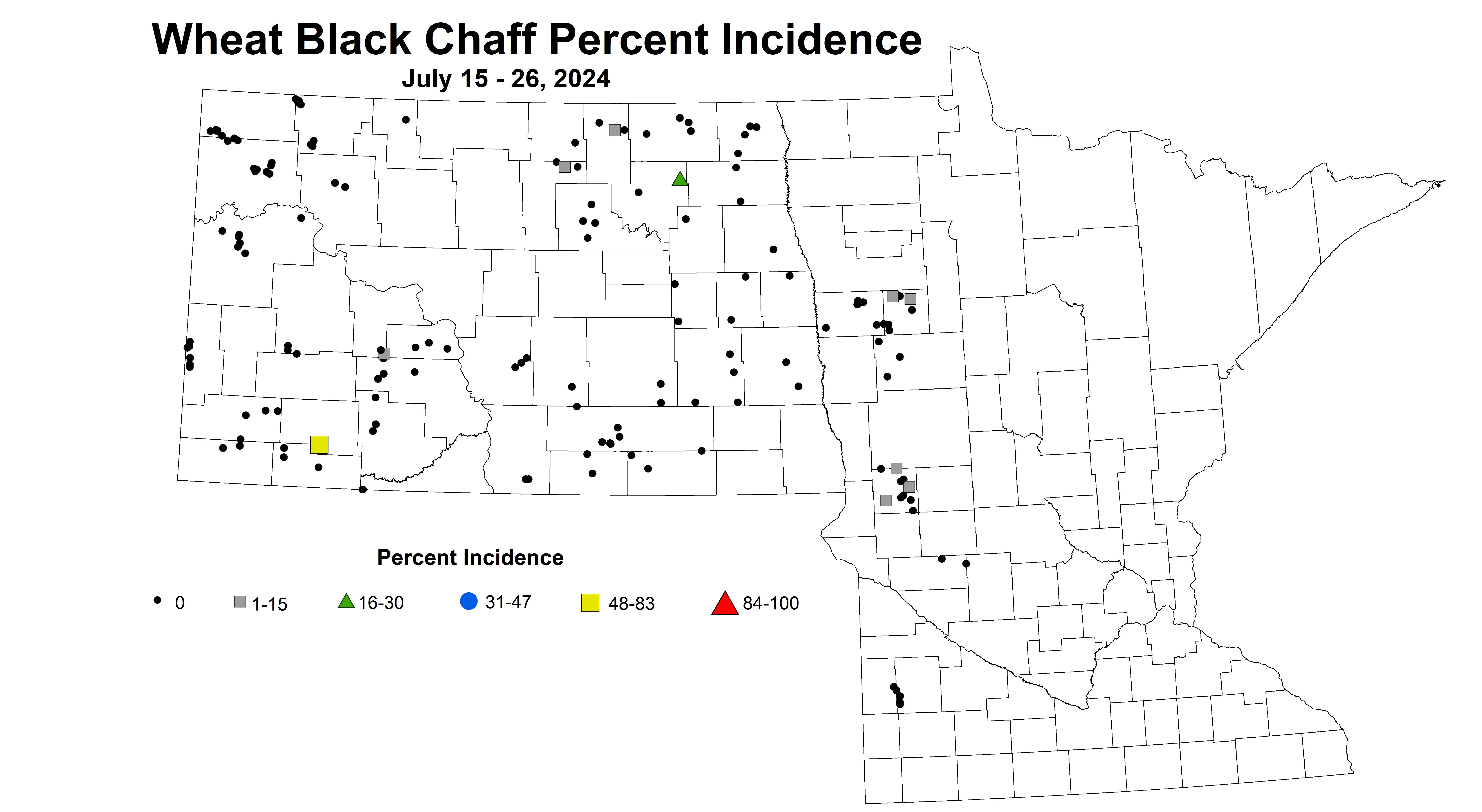 wheat black chaff incidence 7.15-7.26 2024