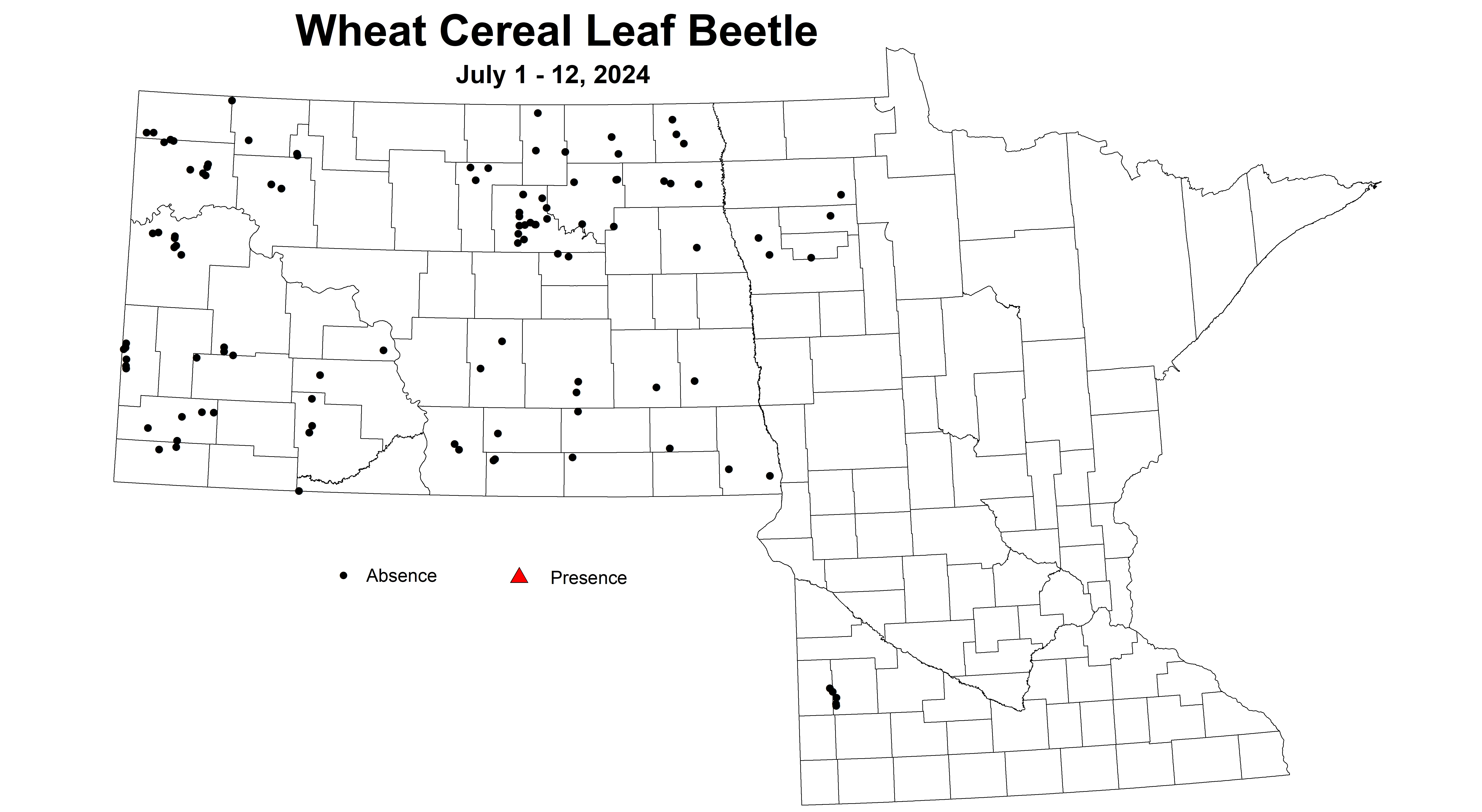 wheat cereal leaf beetle 2024 7.1-7.12