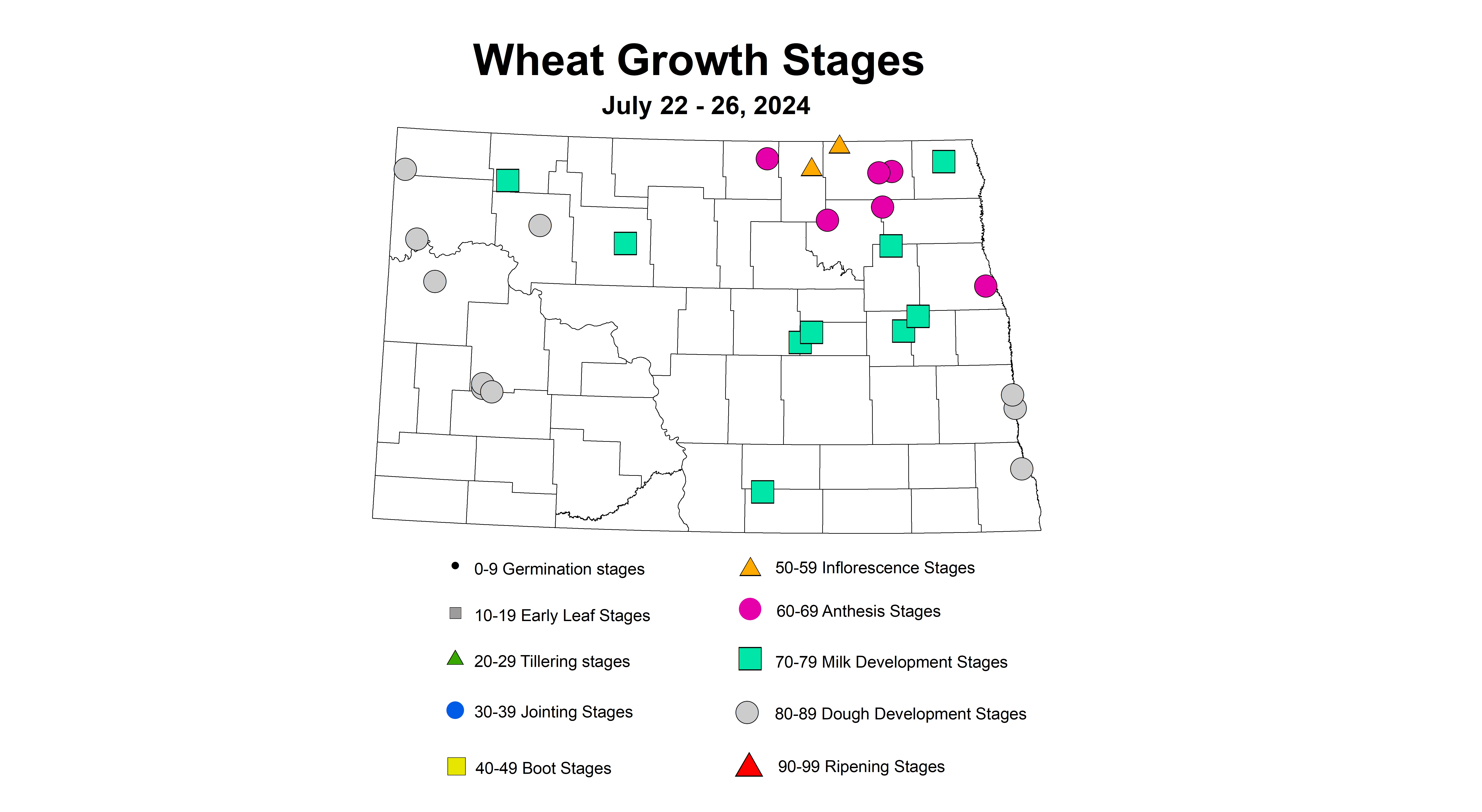 wheat growth stages 7.22-7.26 2024