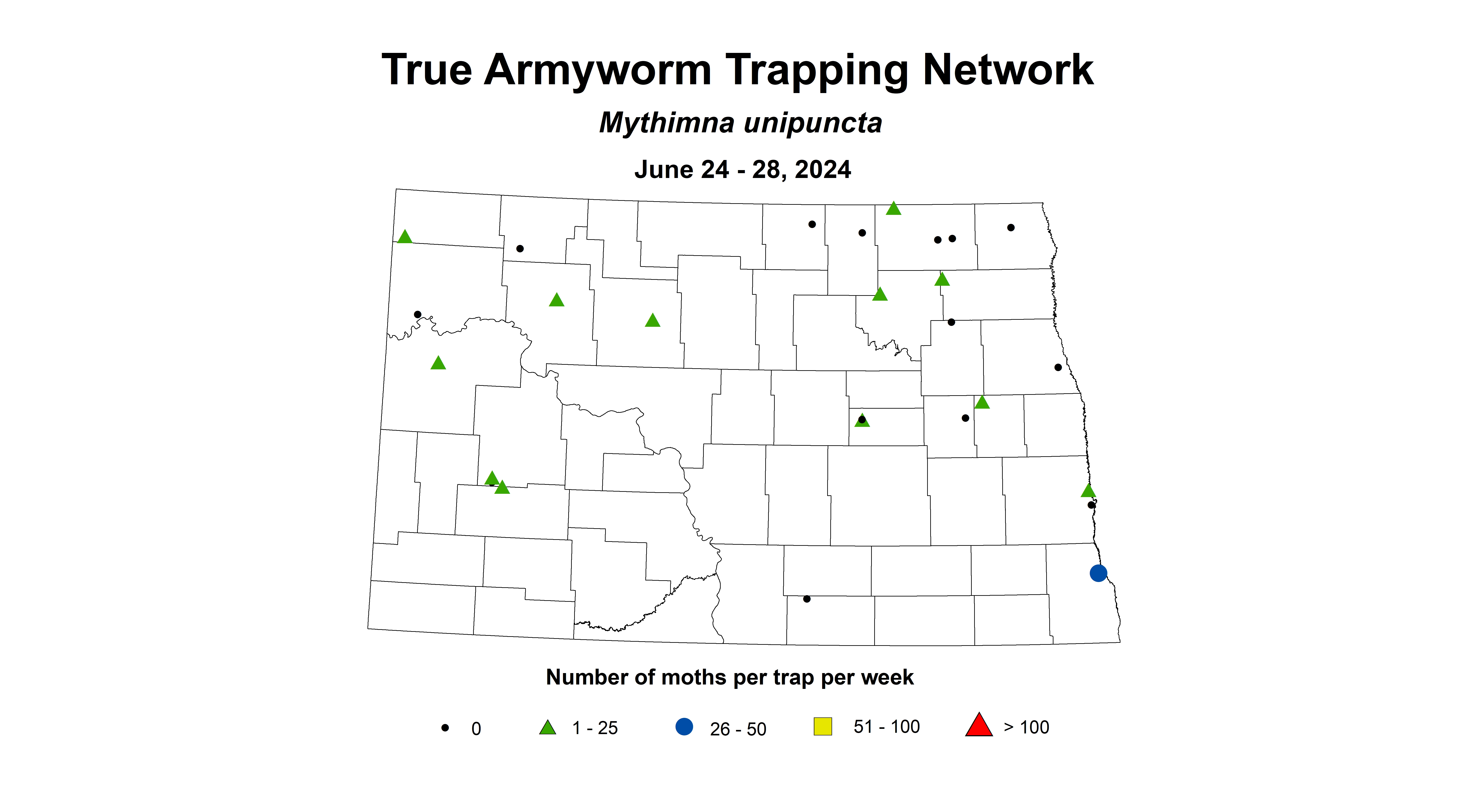 wheat insect true armyworm 6.24-6.28 2024