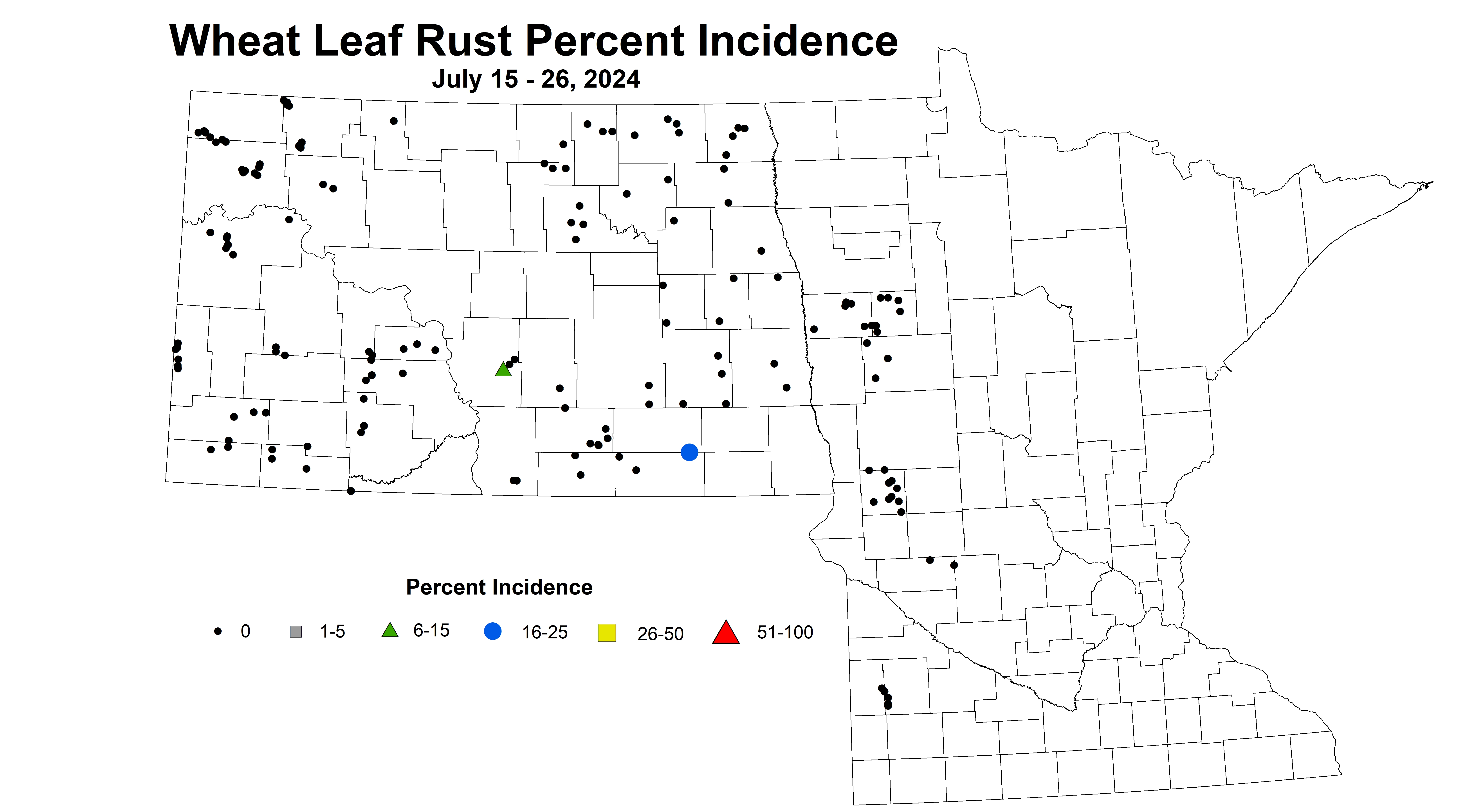 wheat leaf rust incidence 7.15-7.26 2024