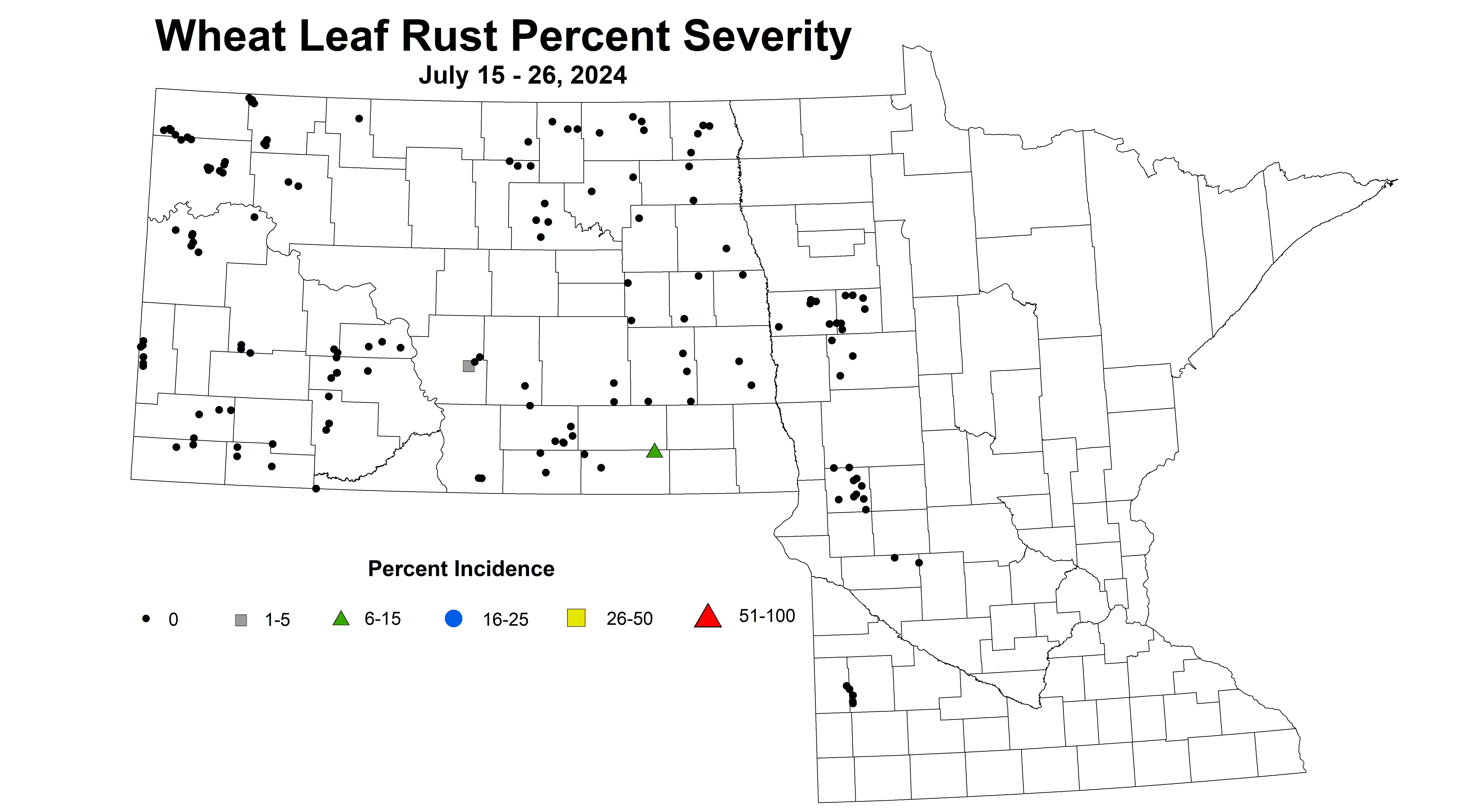 wheat leaf rust severity 7.15-7.26 2024