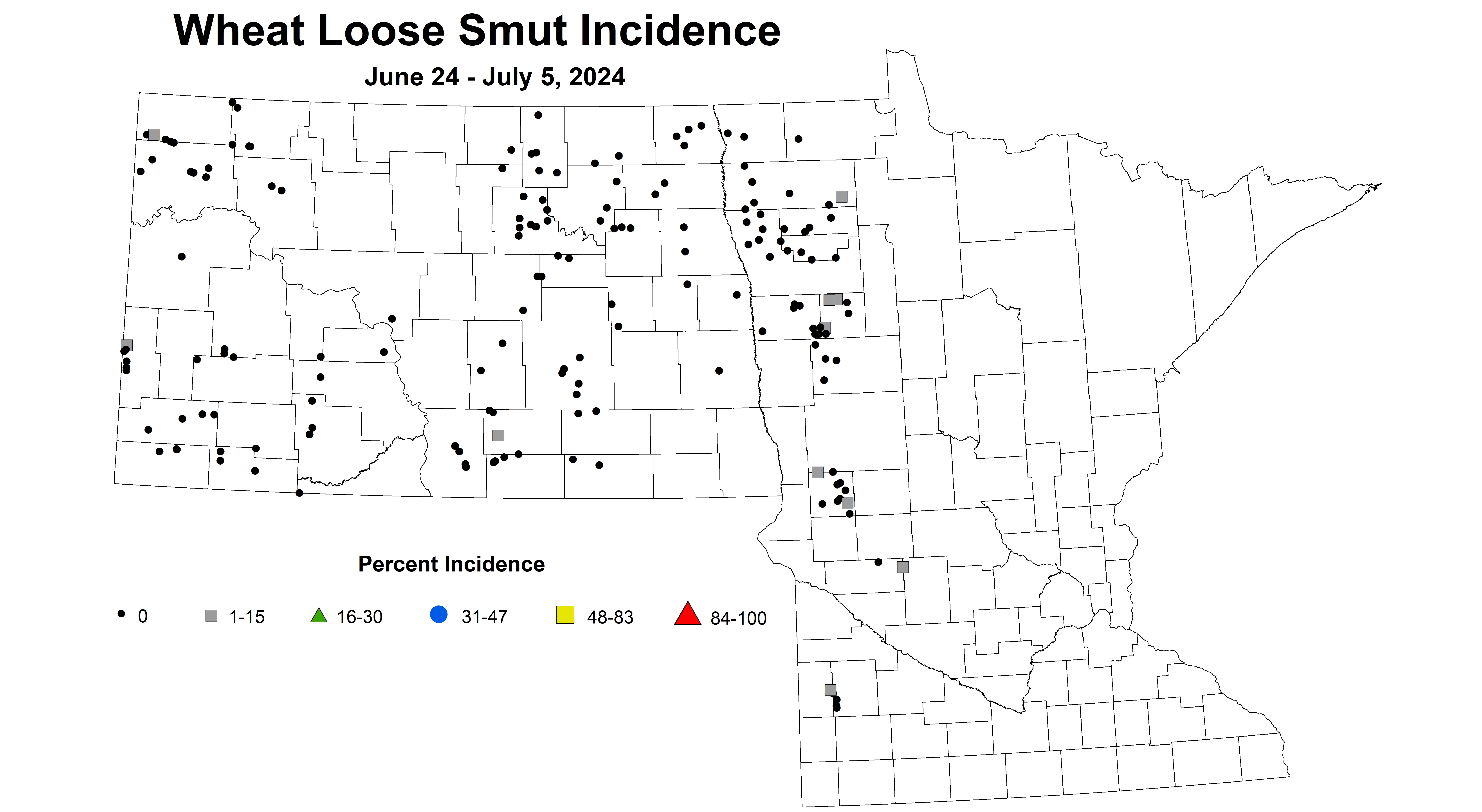 wheat loose smut incidence 2024 6.24-7.5