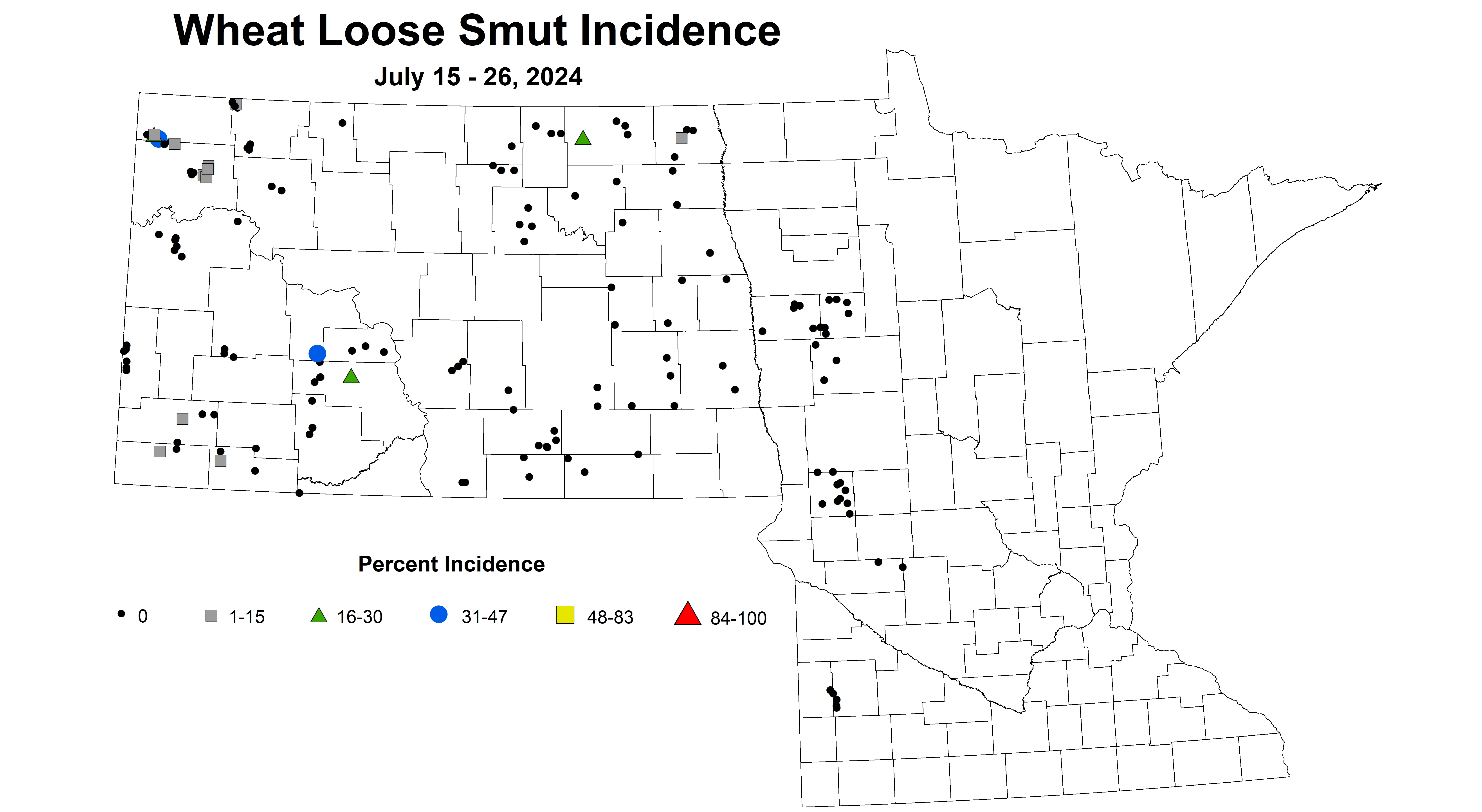 wheat loose smut incidence 7.15-7.26 2024