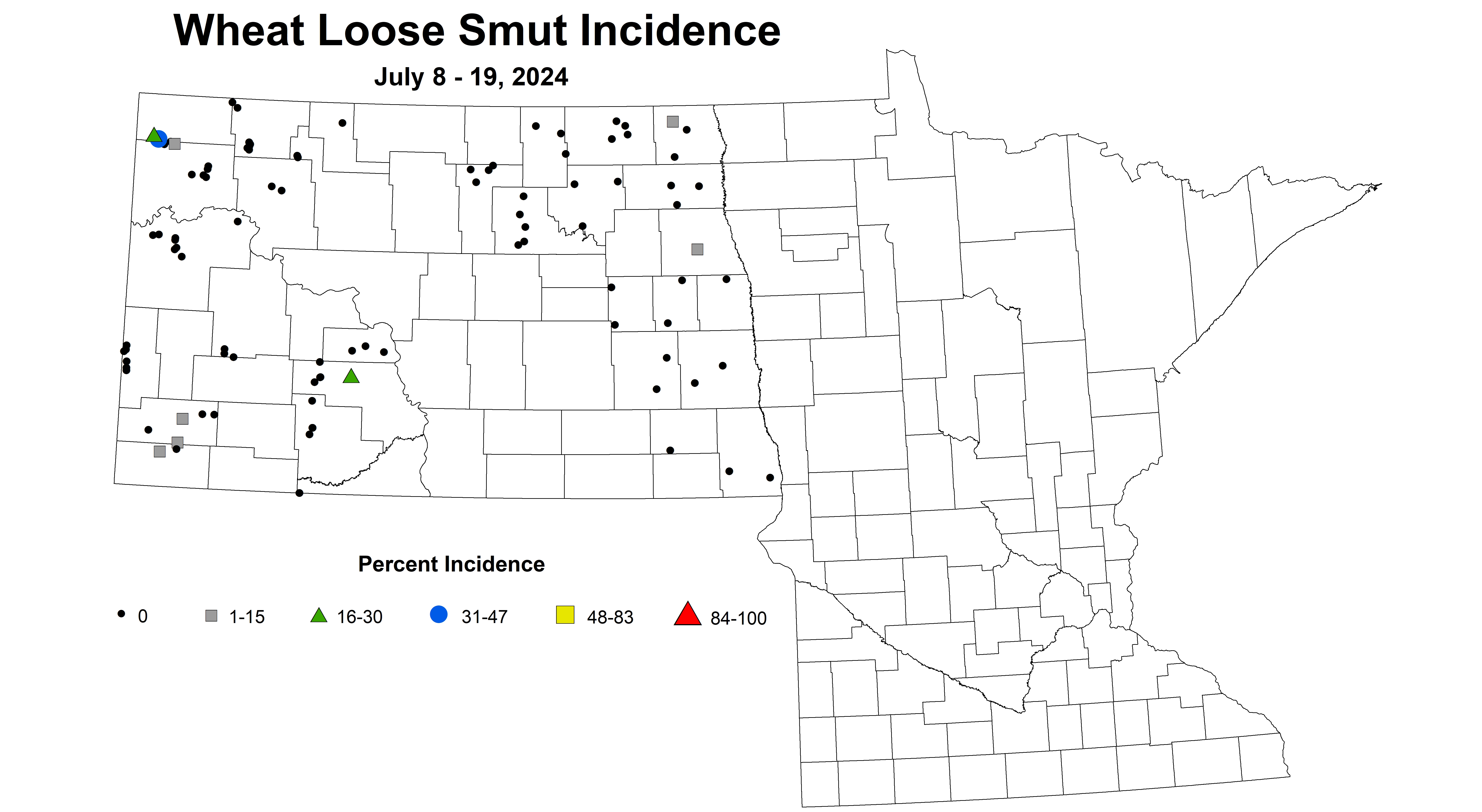 wheat loose smut incidence 7.8-7.19 2024