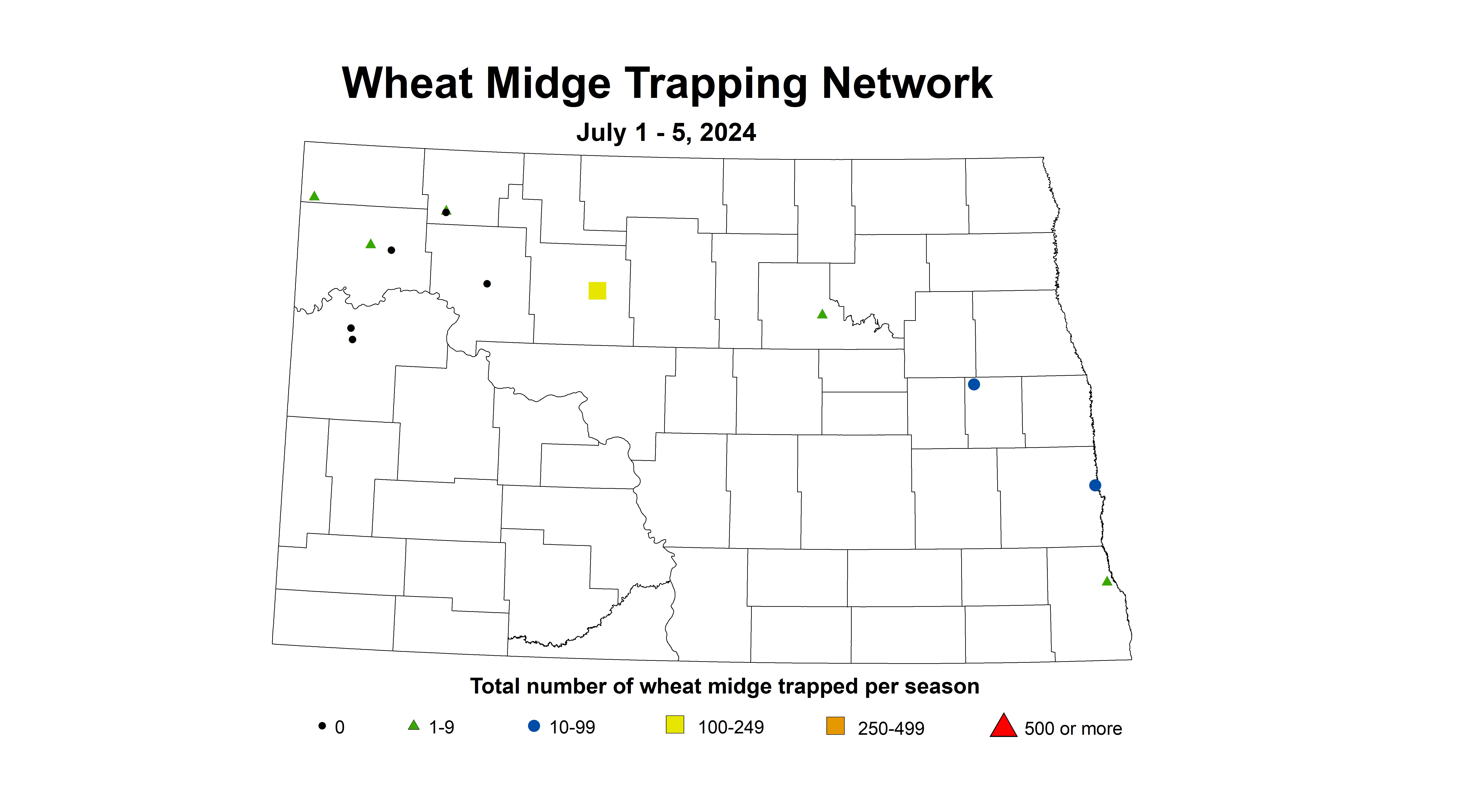wheat midge trap July 1 - 5 2024