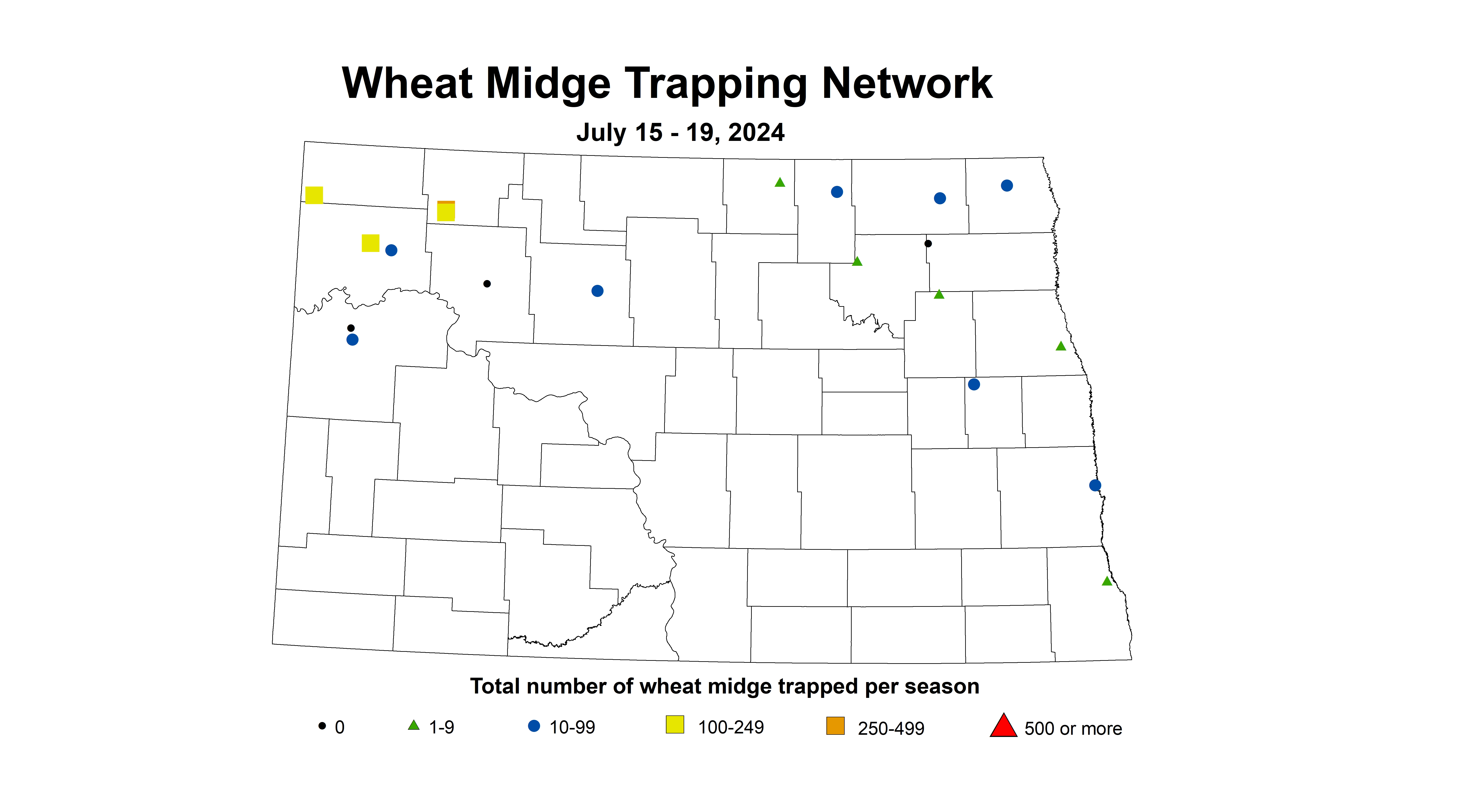 wheat midge trap July 15 - 19 2024