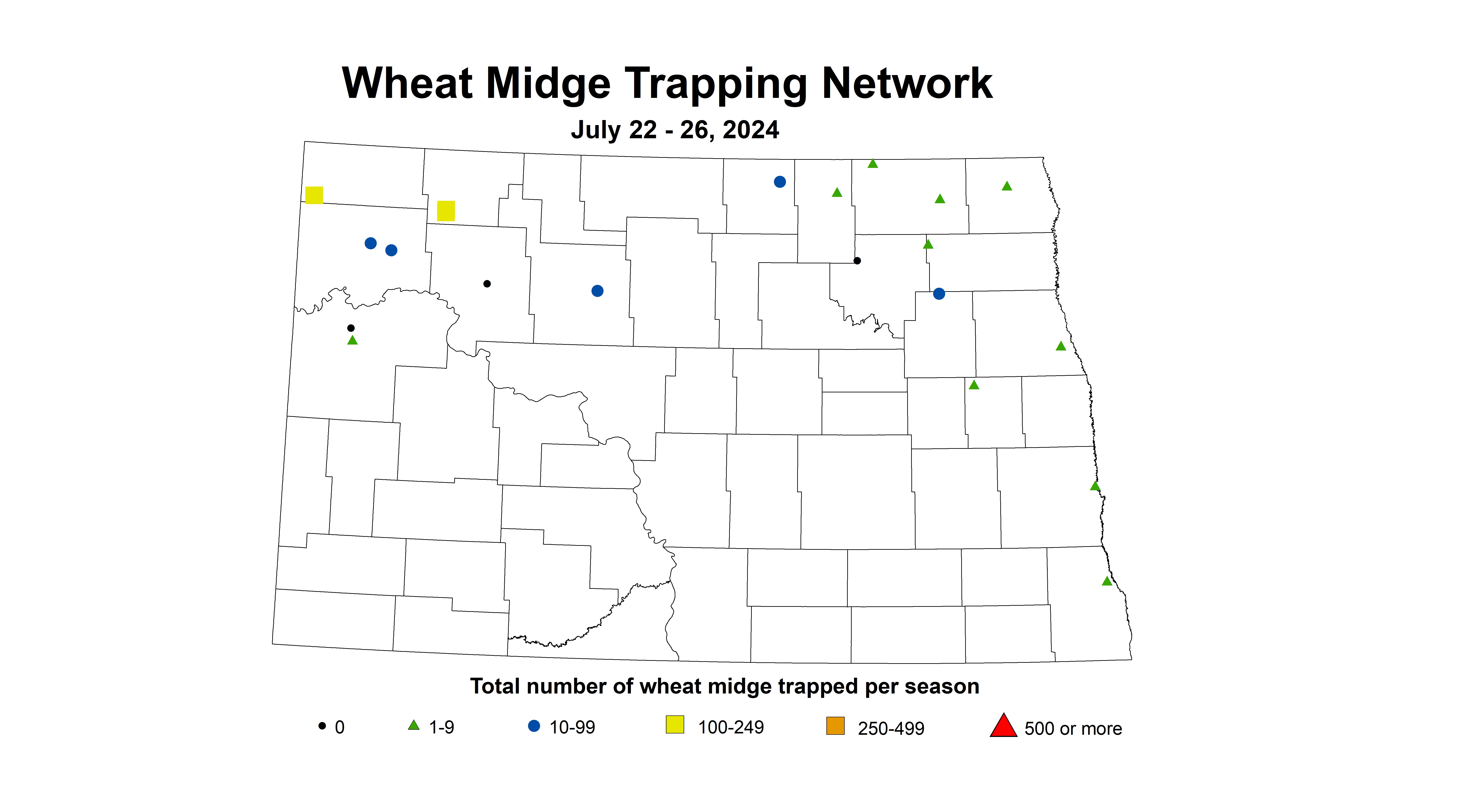 wheat midge trap July 22-26 2024