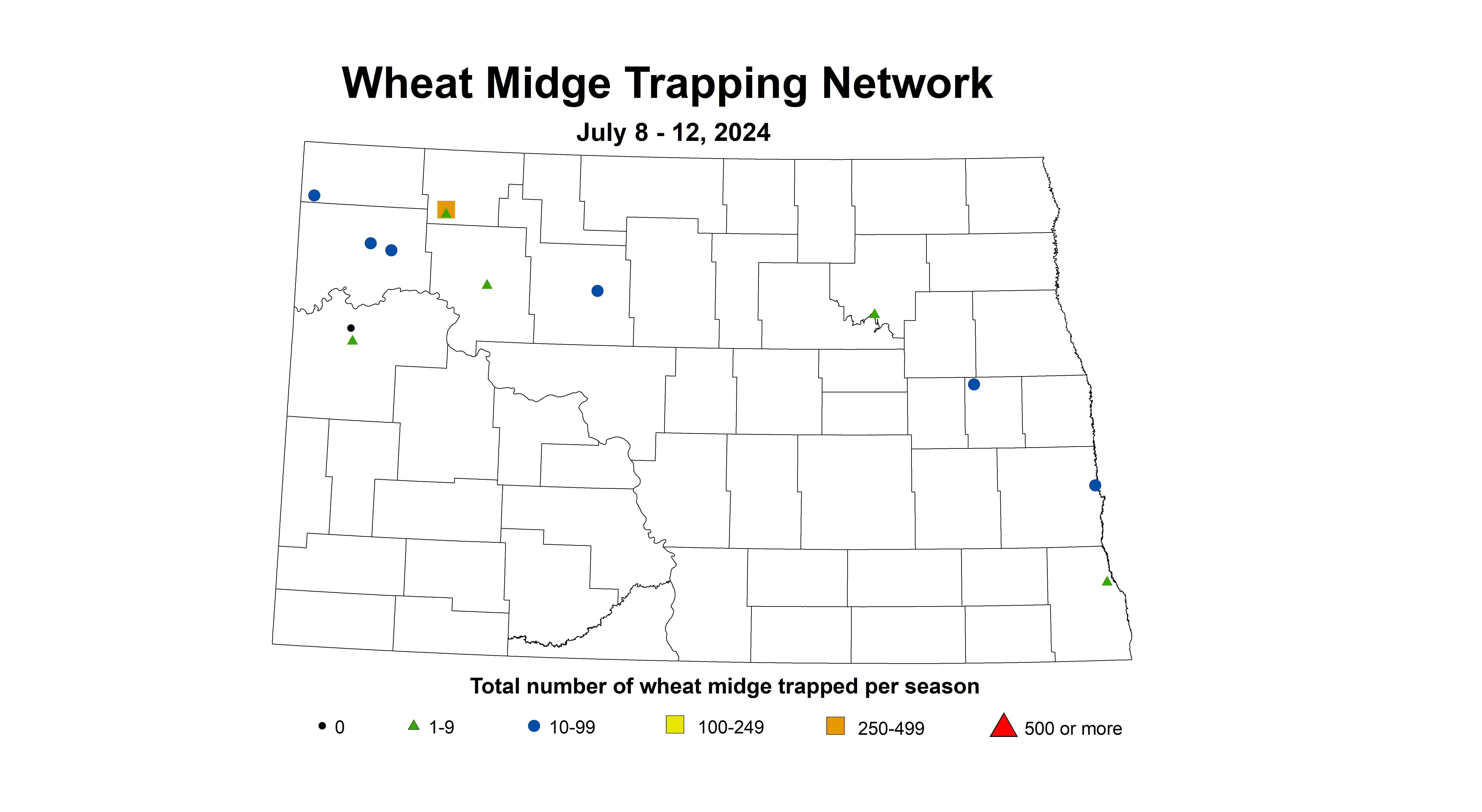 wheat midge trap July 8 - 12 2024