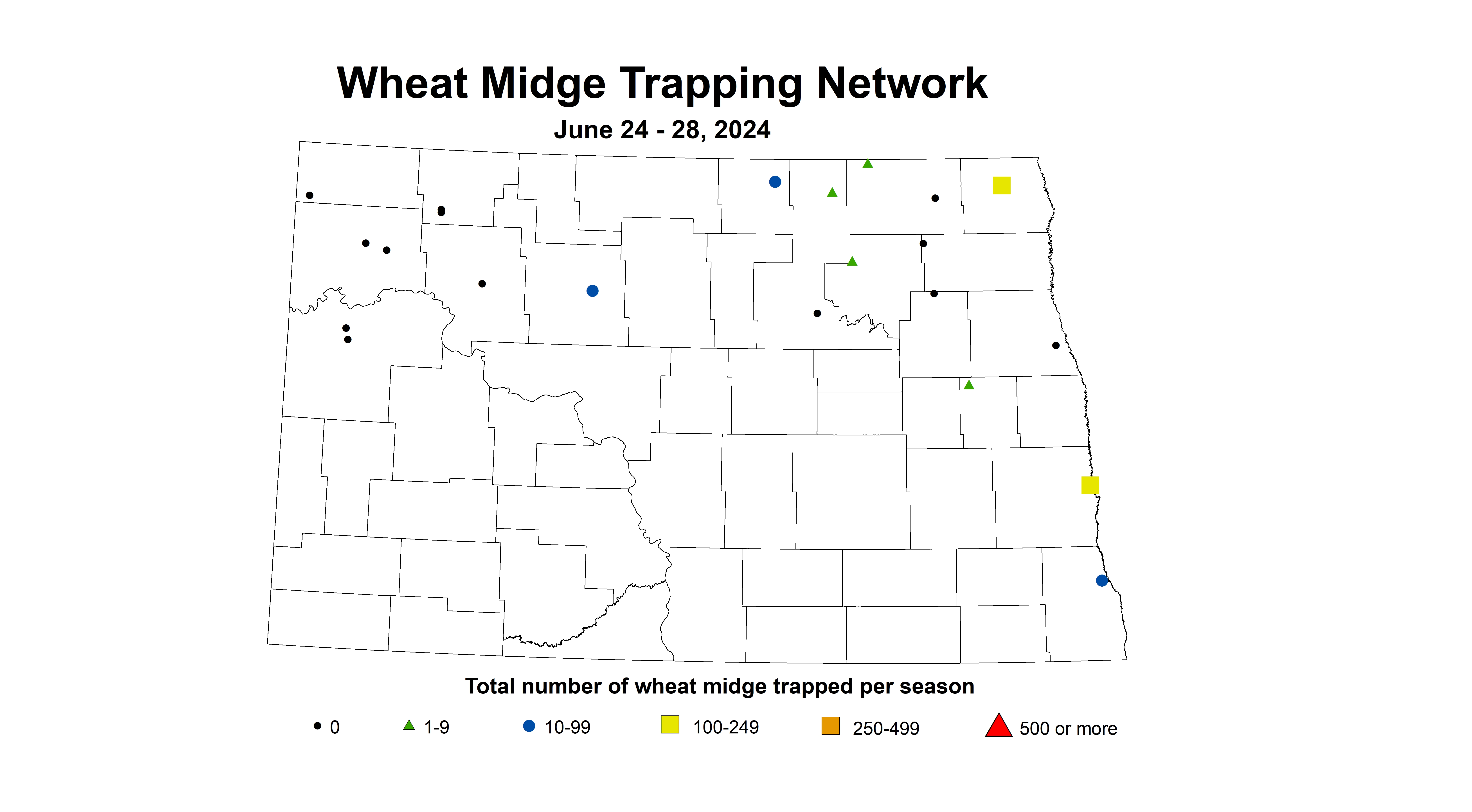 wheat midge trap June 24-28 2024