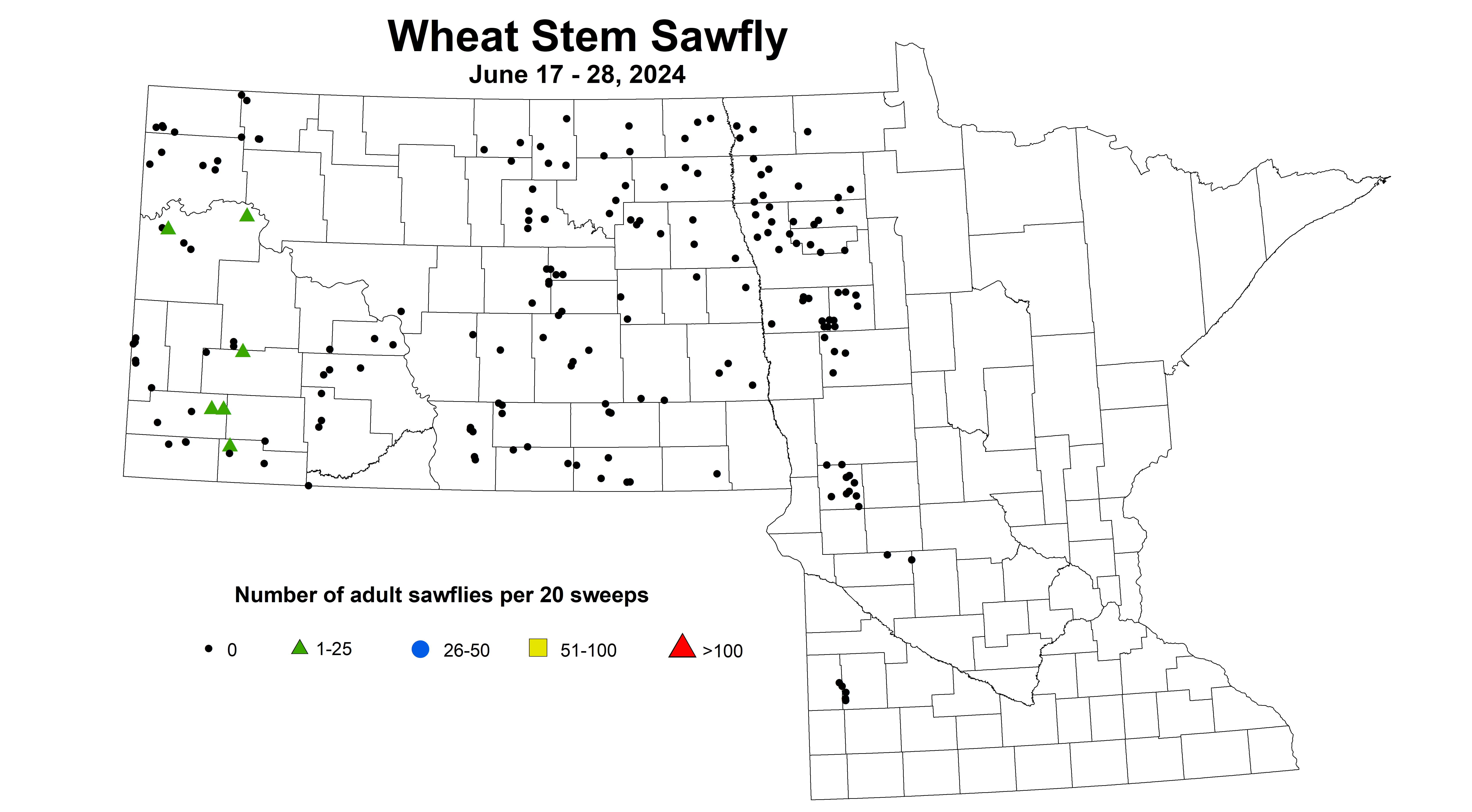wheat sawfly 2024 6.17-6.28