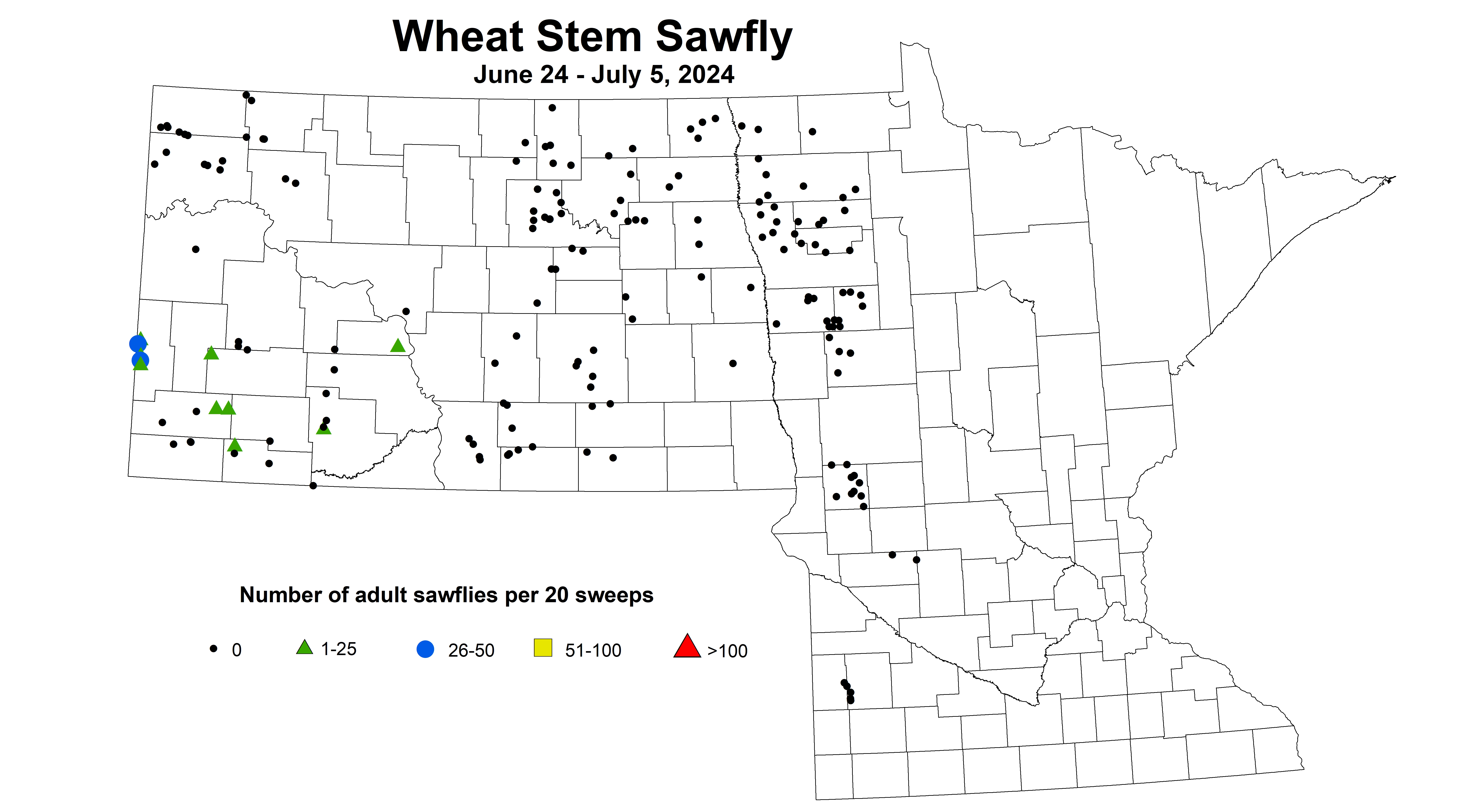 wheat sawfly 2024 6.24-7.5
