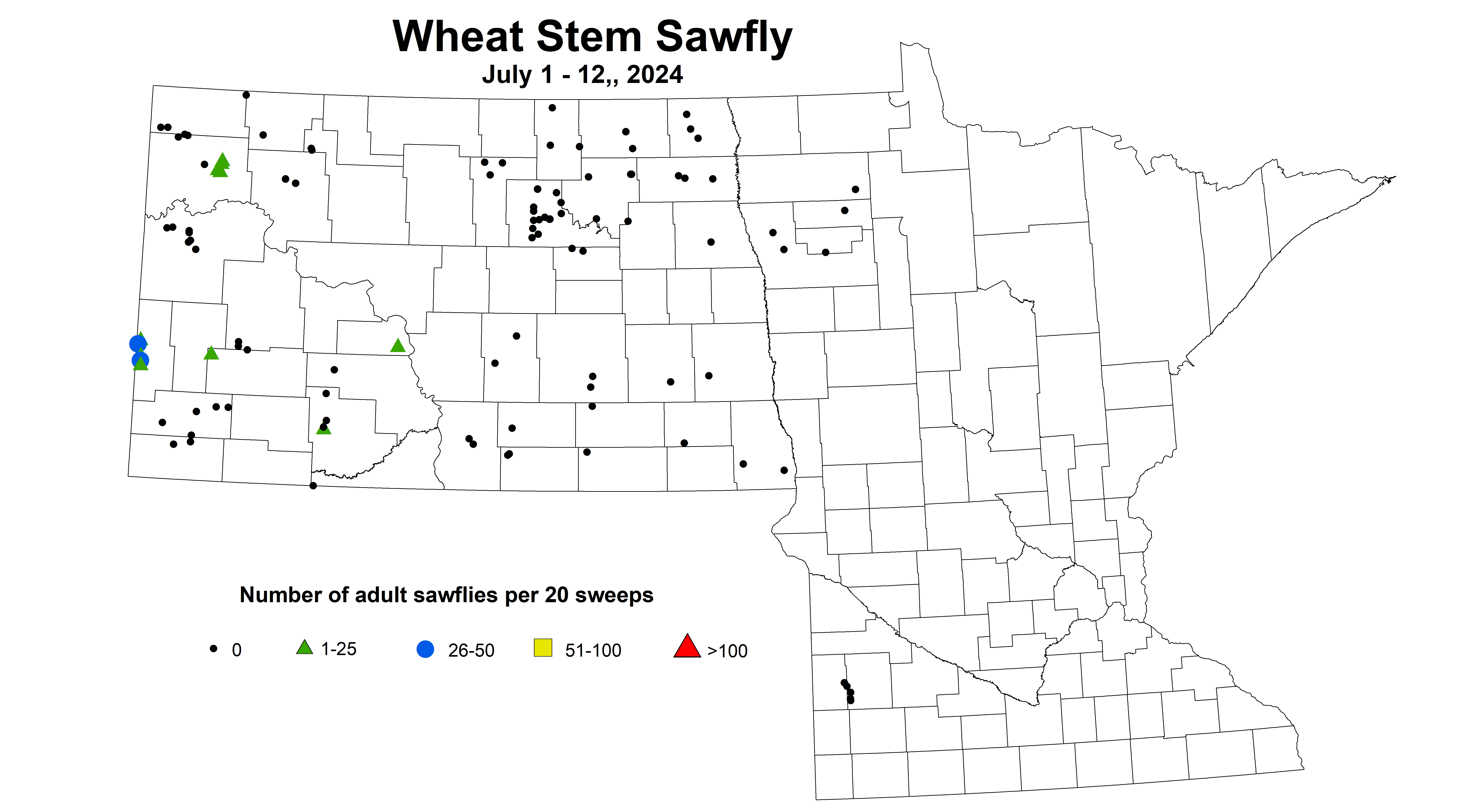 wheat sawfly 2024 7.1-7.12