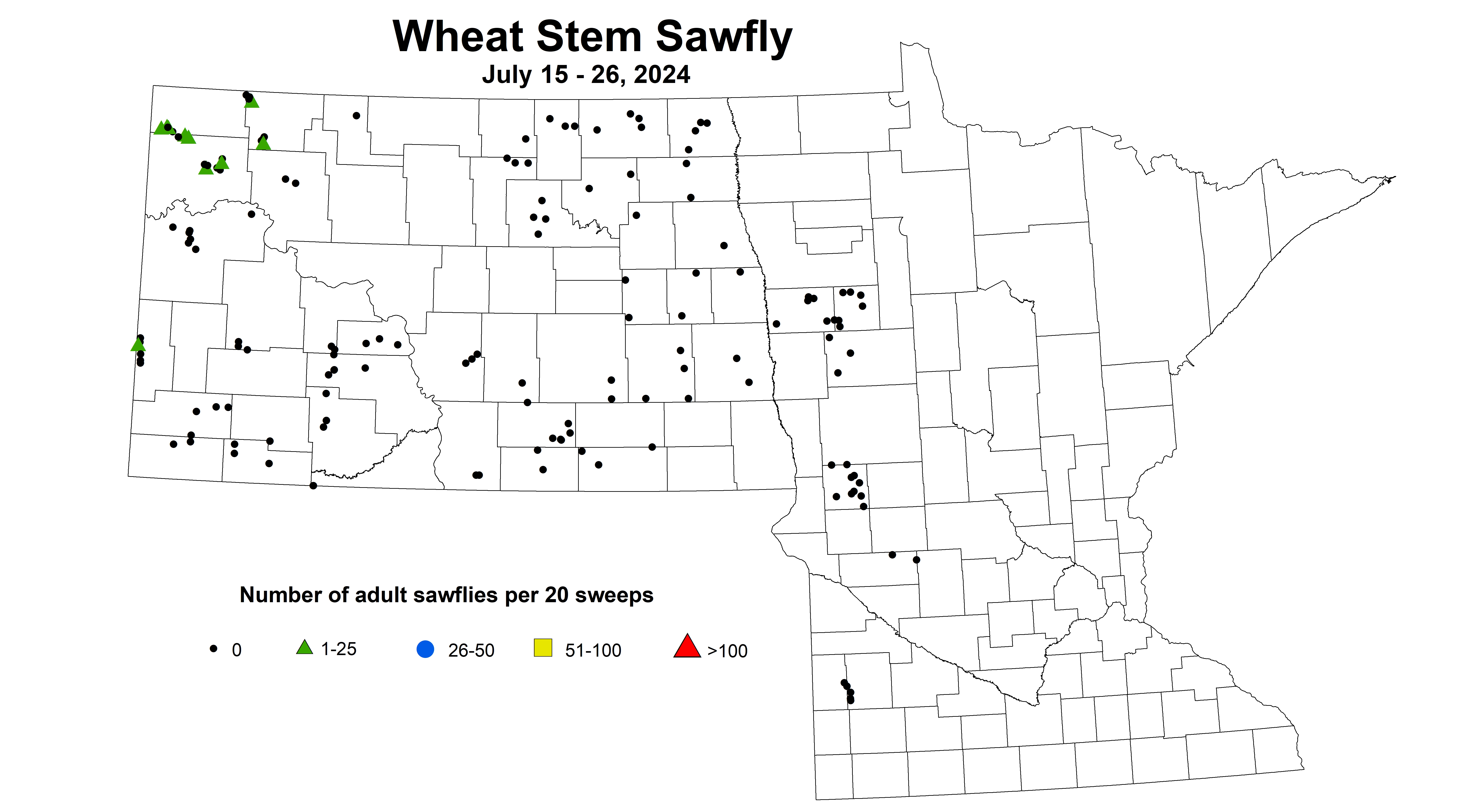 wheat sawfly 7.15-7.26 2024