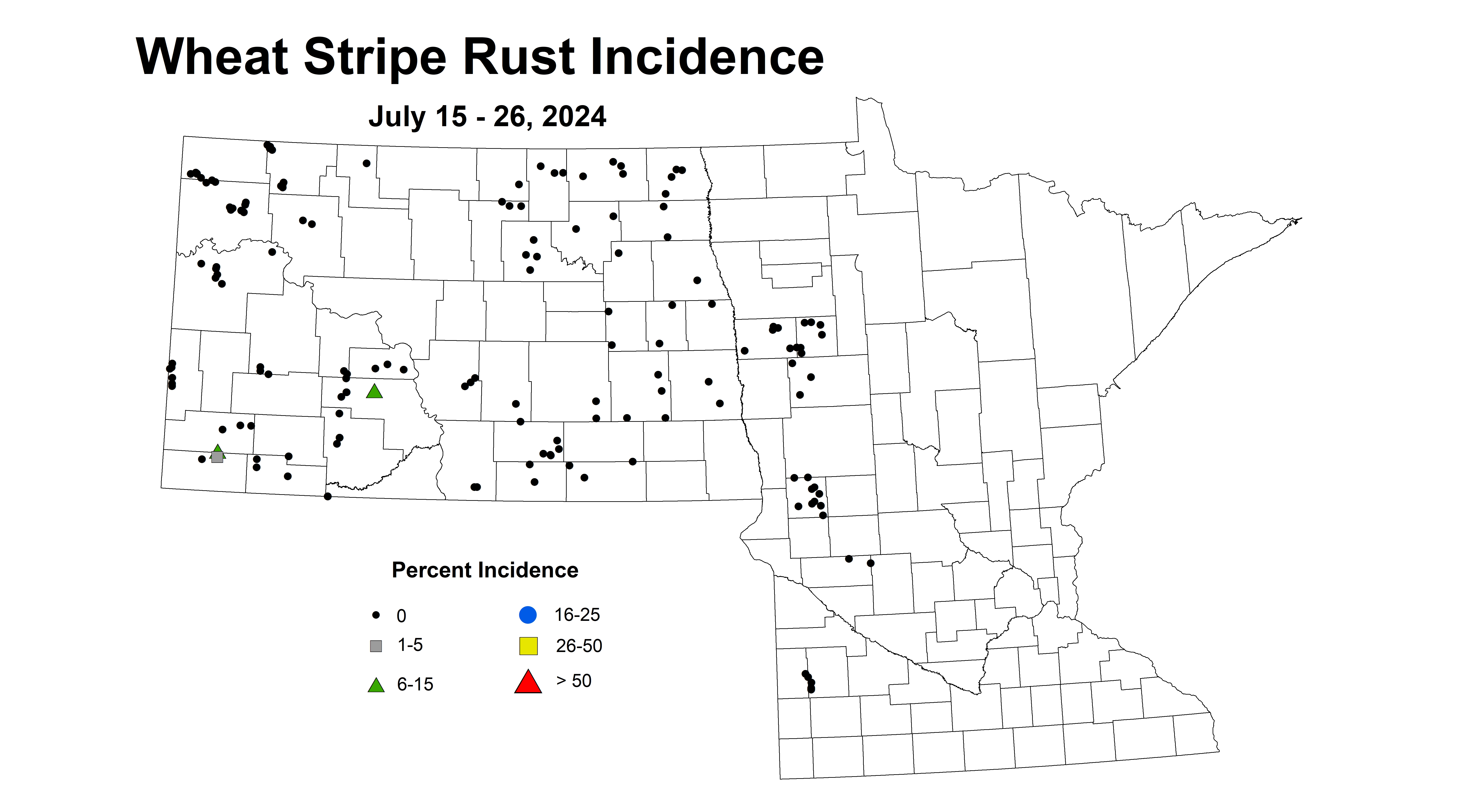 wheat stripe rust incidence 7.15-7.26 2024