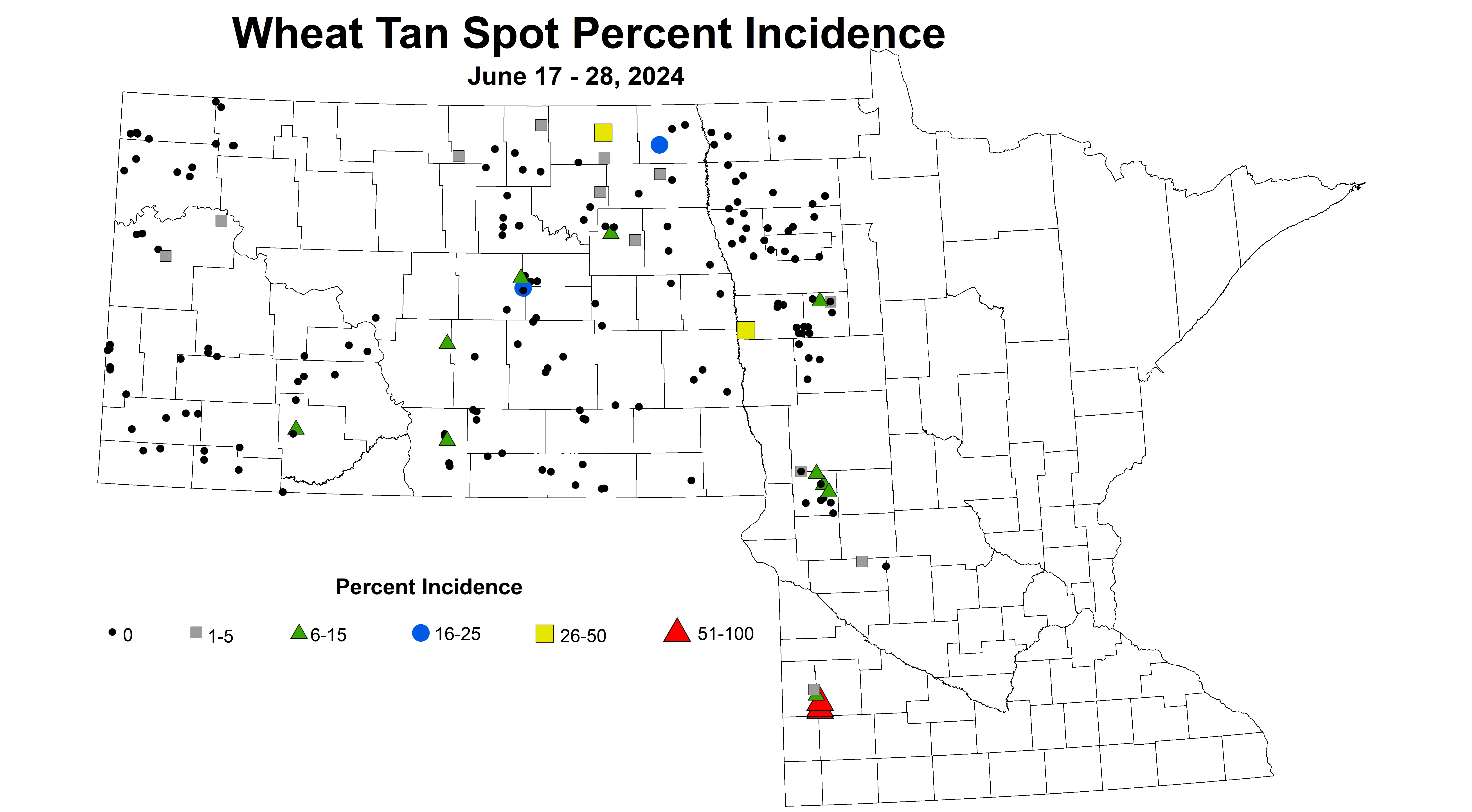 wheat tan spot incidence 2024 6.17-6.28