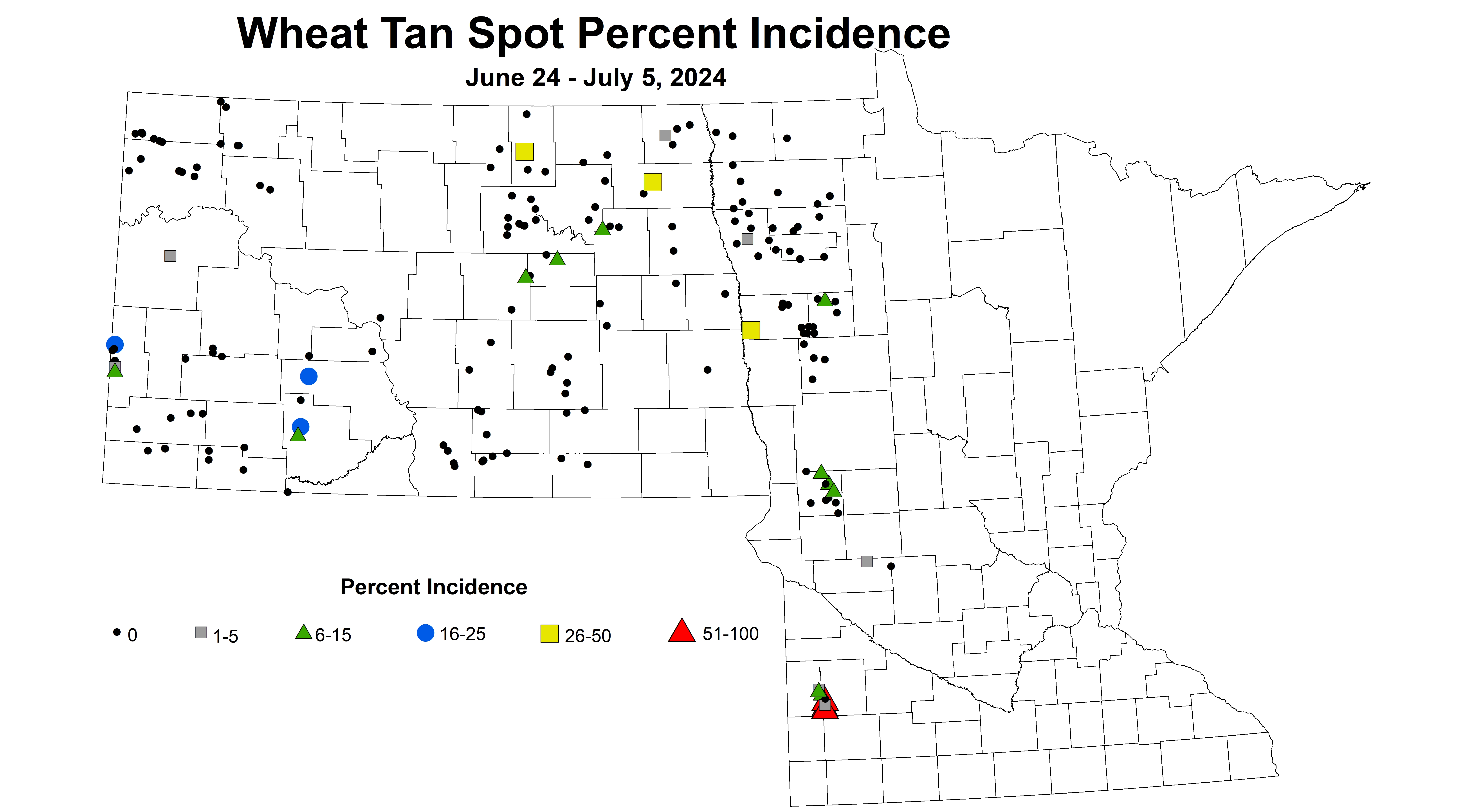 wheat tan spot incidence 2024 6.24-7.5