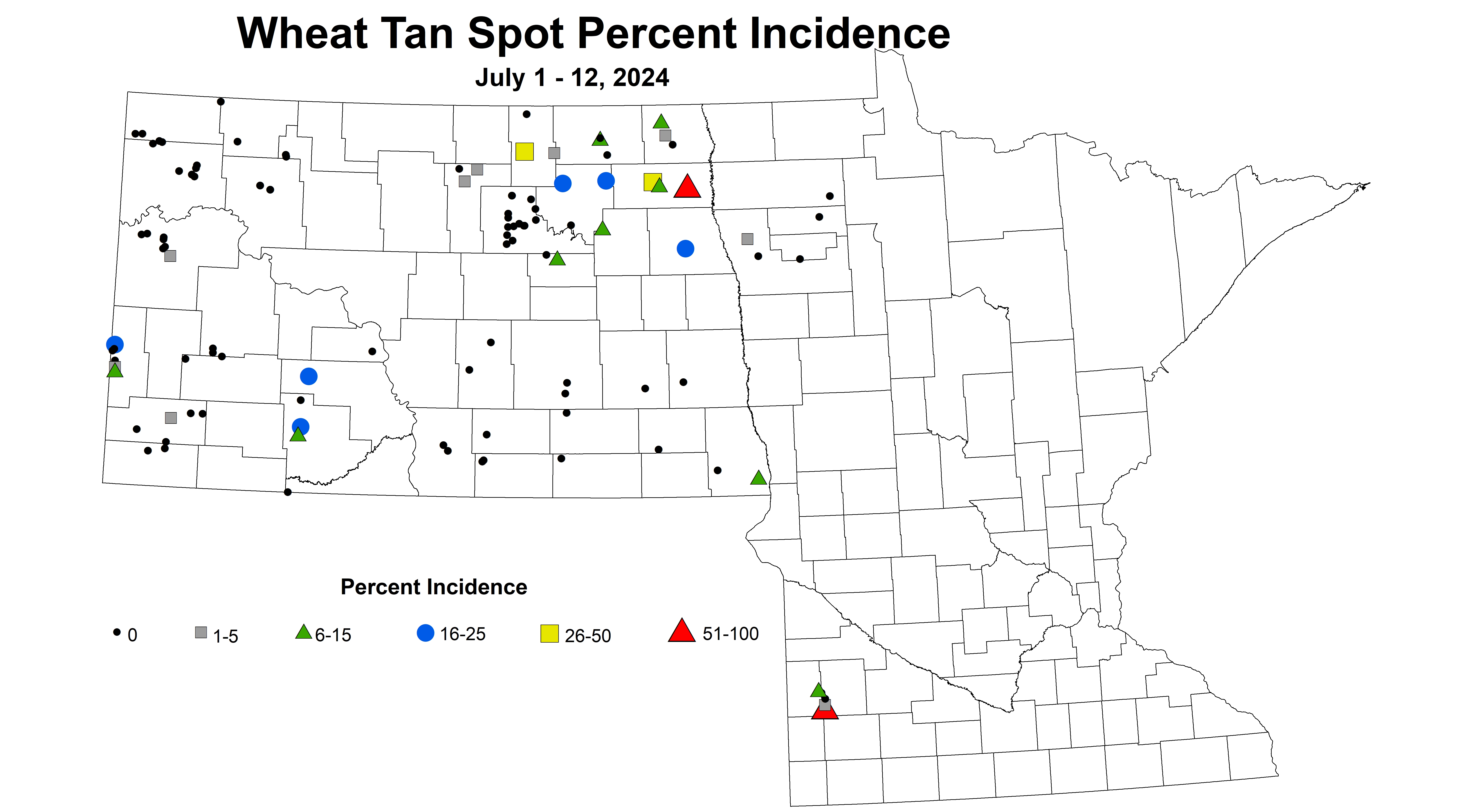 wheat tan spot incidence 2024 7.1-7.12