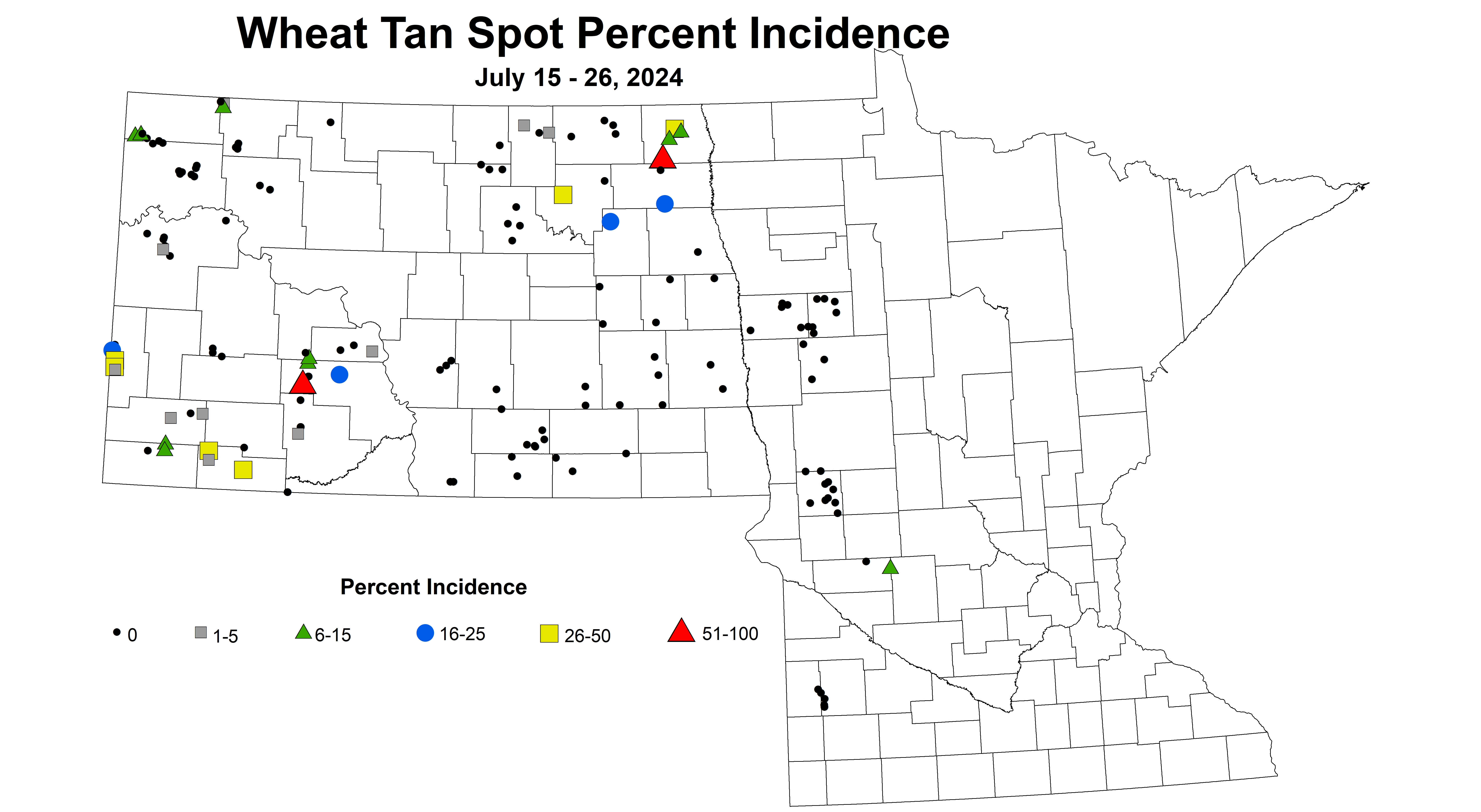 wheat tan spot incidence 7.15-7.26 2024