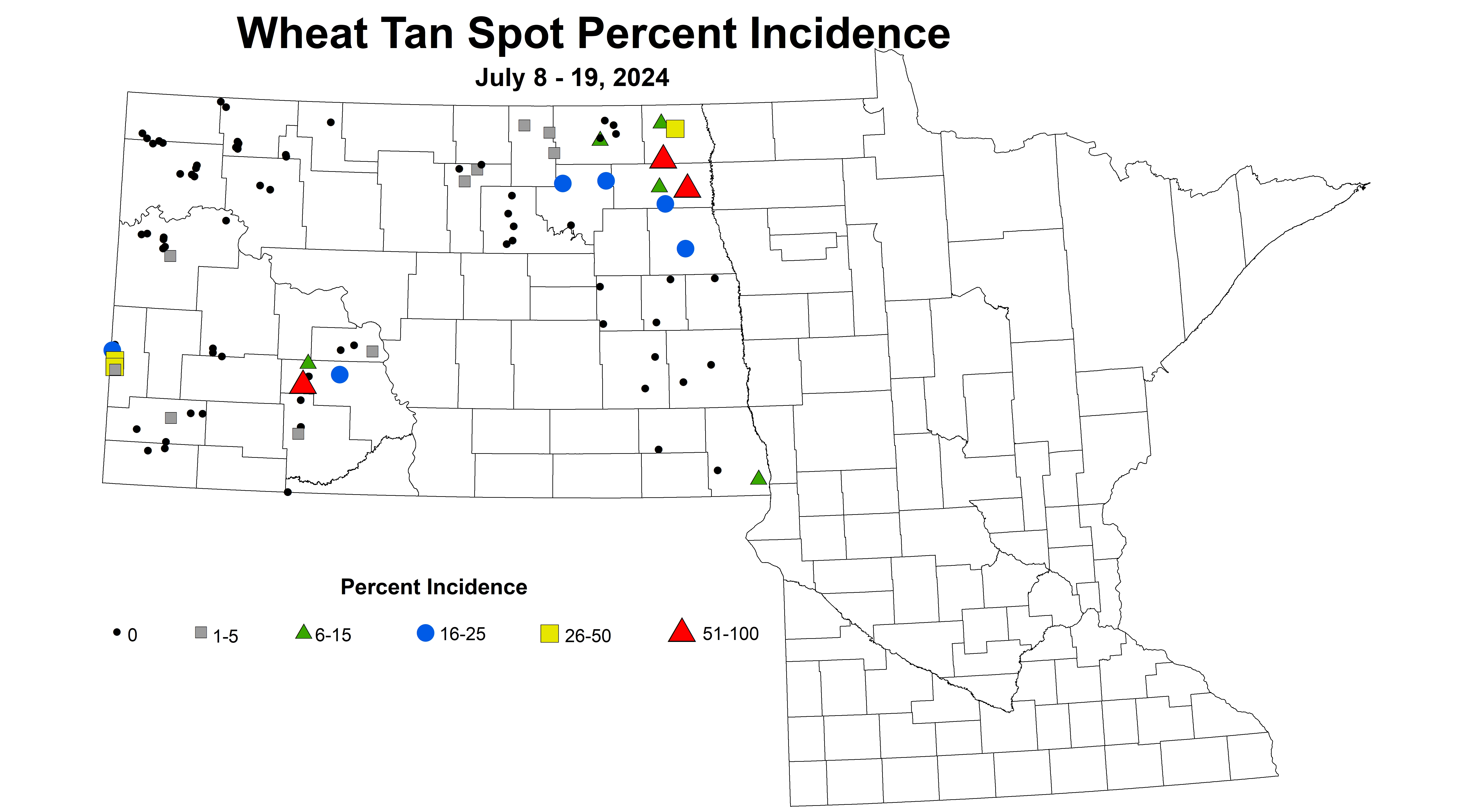 wheat tan spot incidence 7.8-7.19 2024