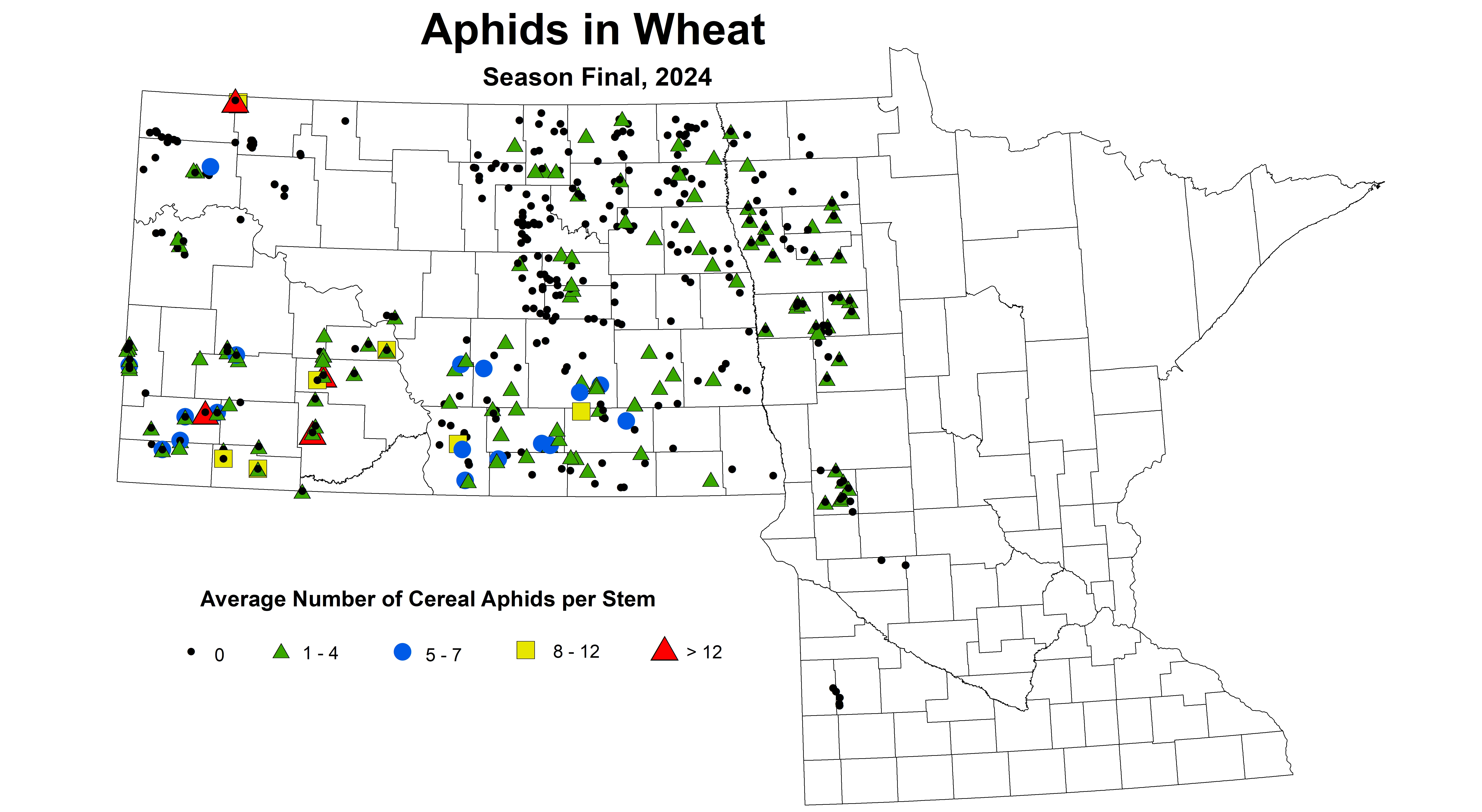 Wheat aphids Season Final 2024