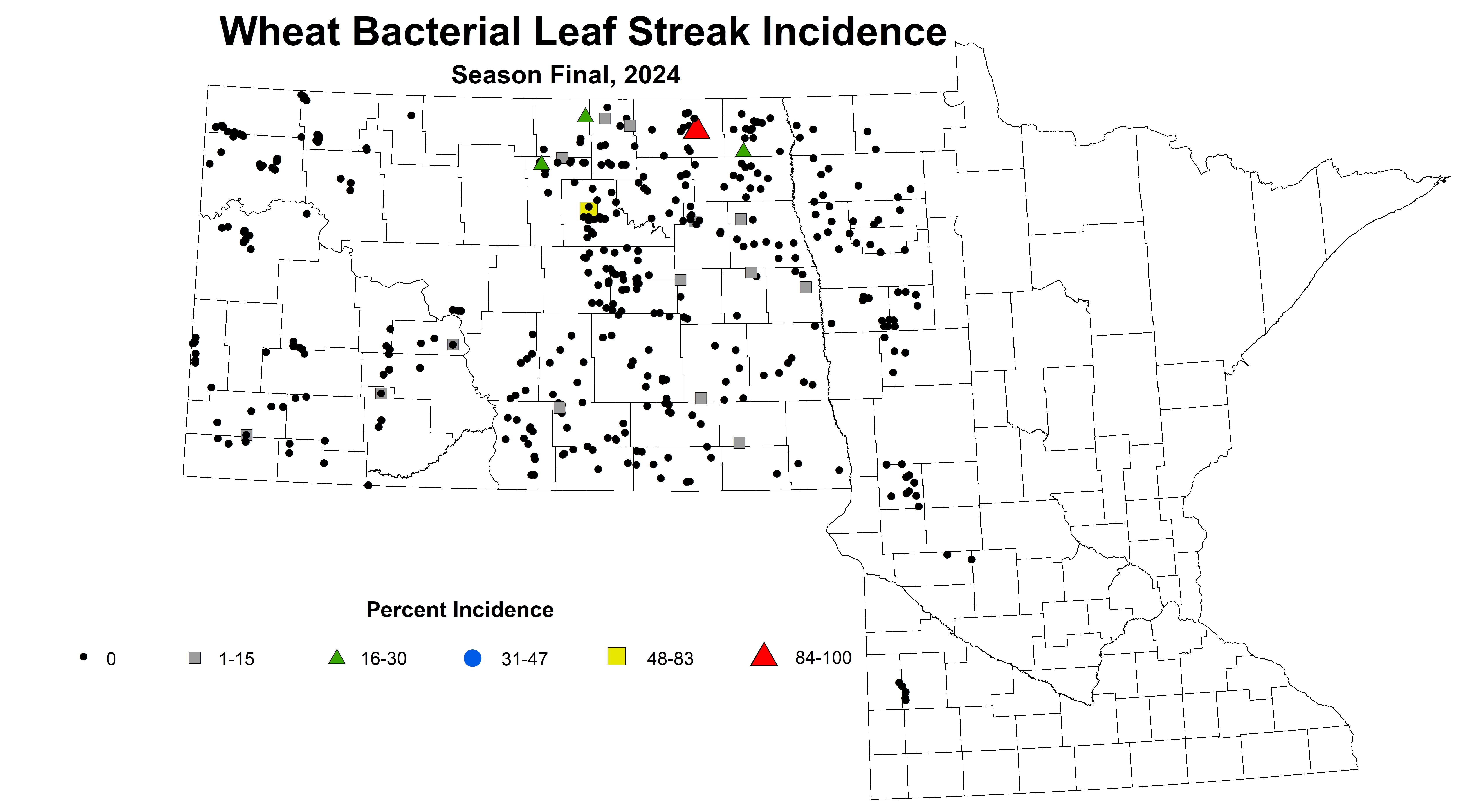 Wheat bacterial leaf streak incidence Season Final 2024