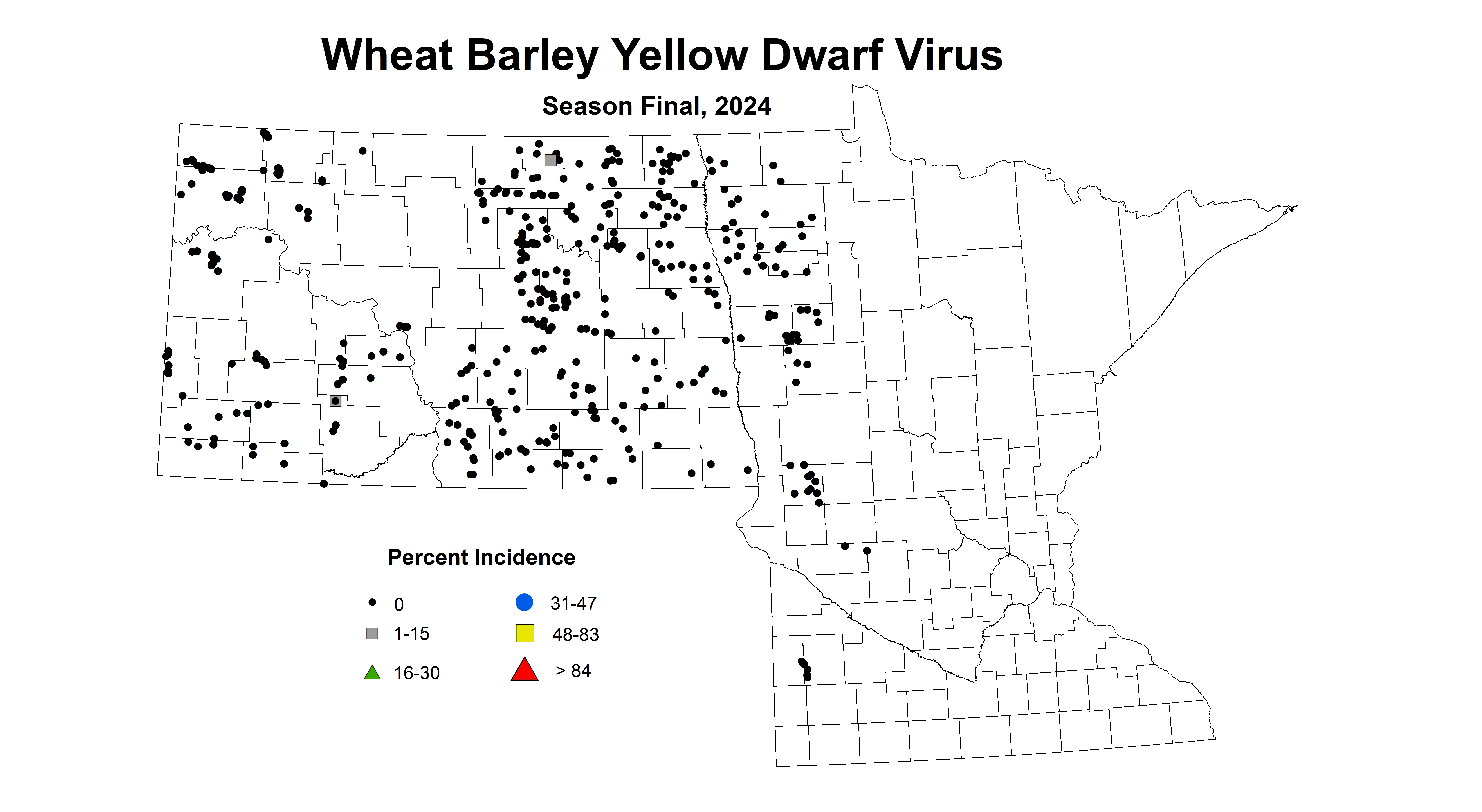 Wheat barley yellow dwarf virus Season Final 2024