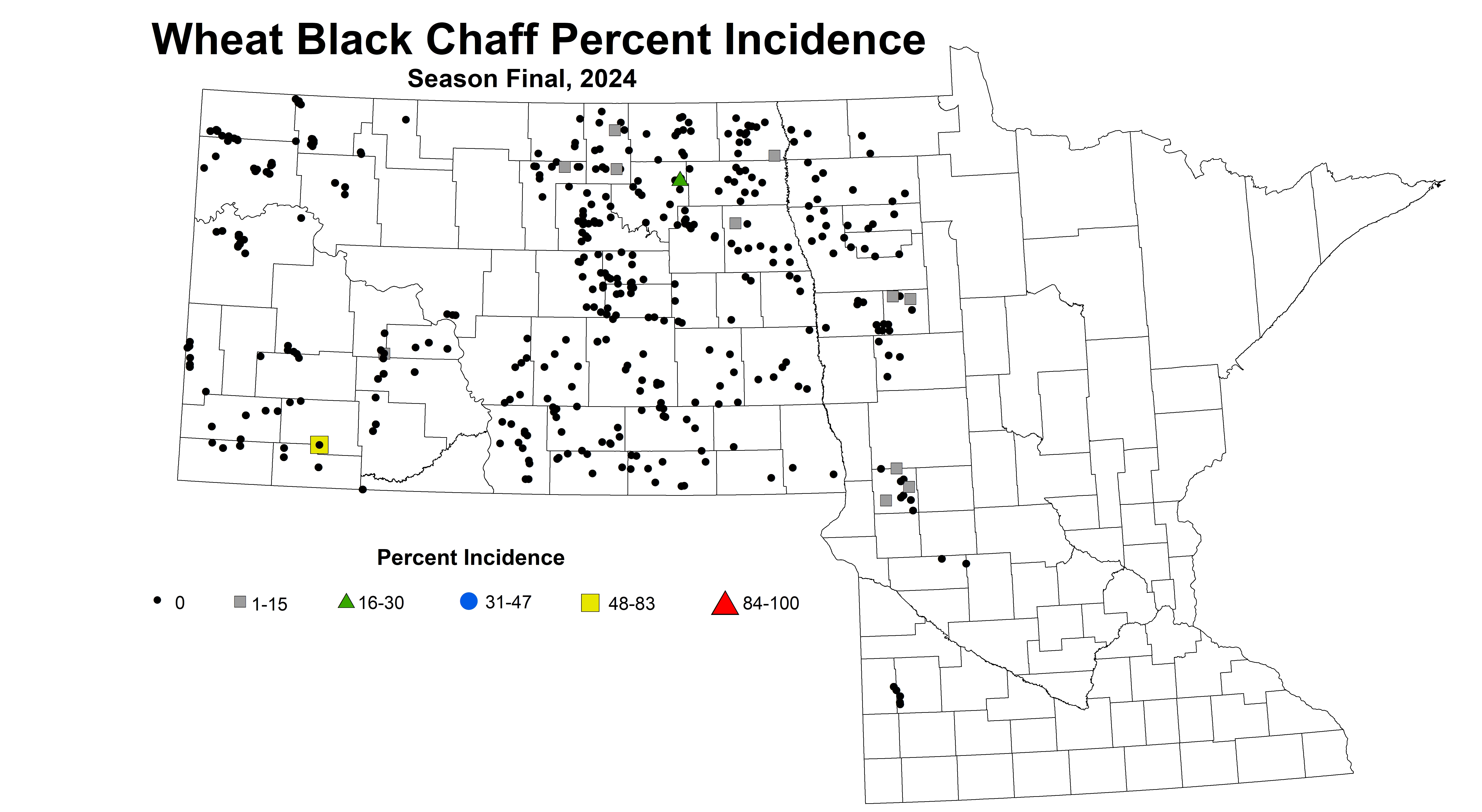 Wheat black chaff incidence Season Final 2024