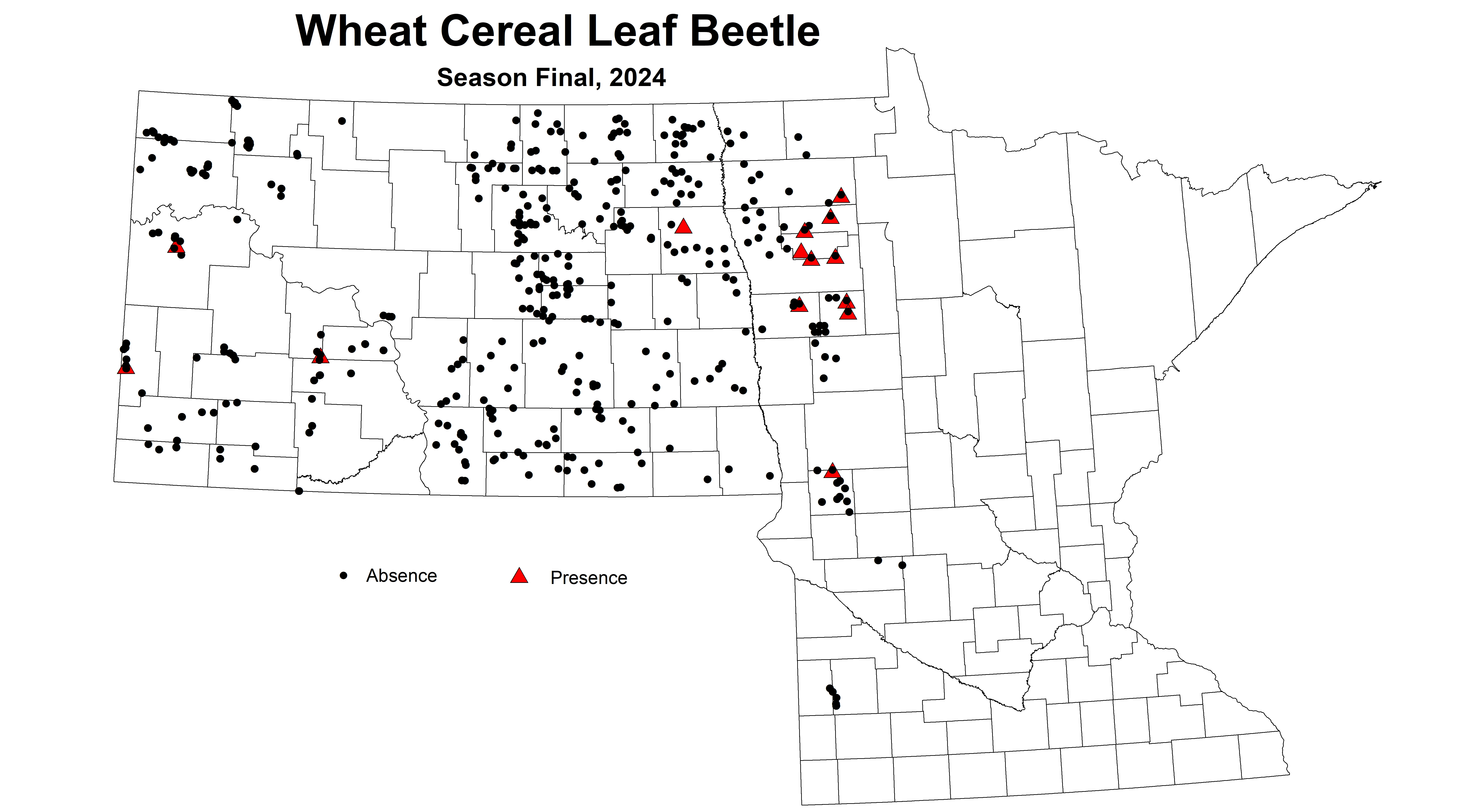 Wheat cereal leaf beetle Season Final 2024