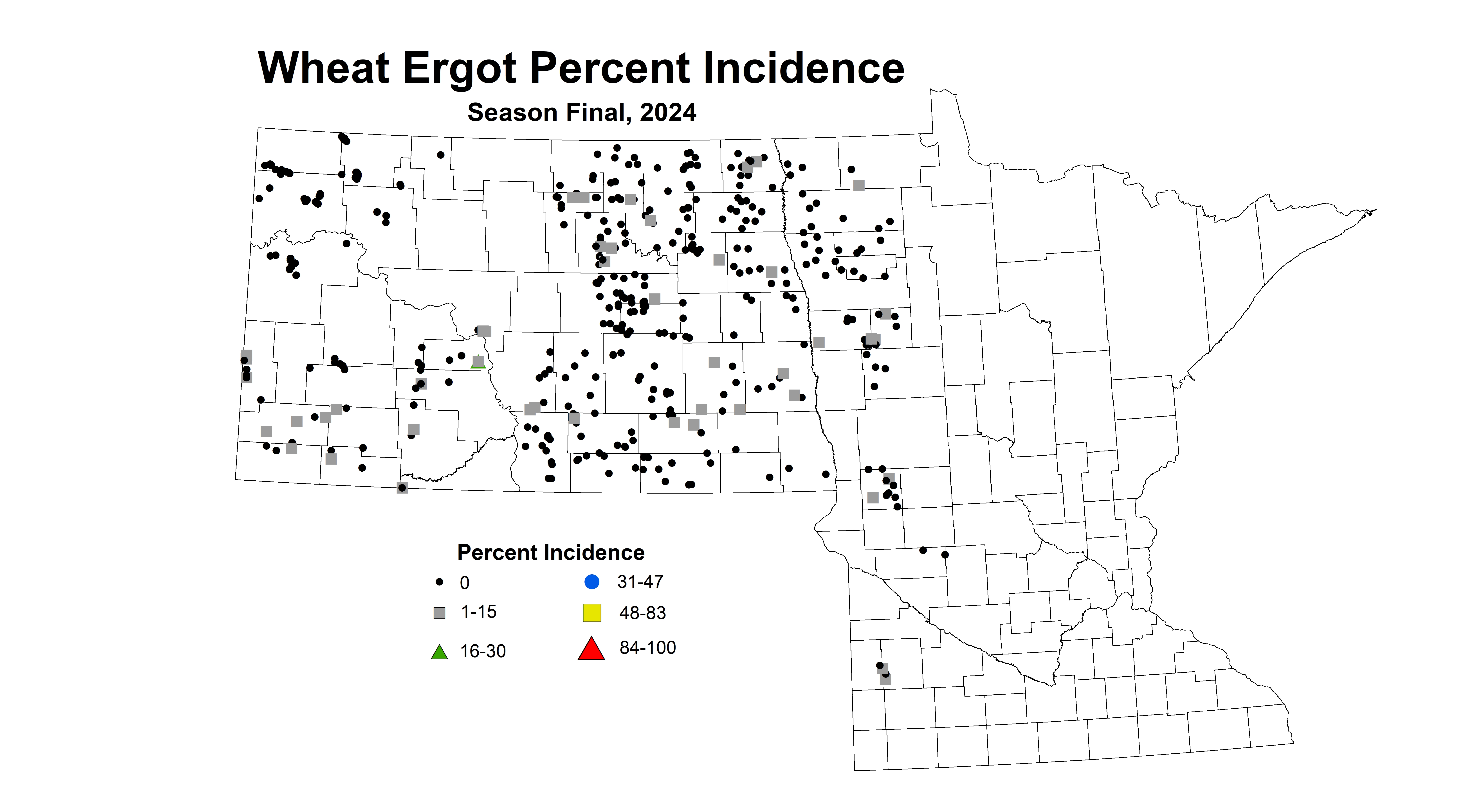 Wheat ergot Season Final 2024