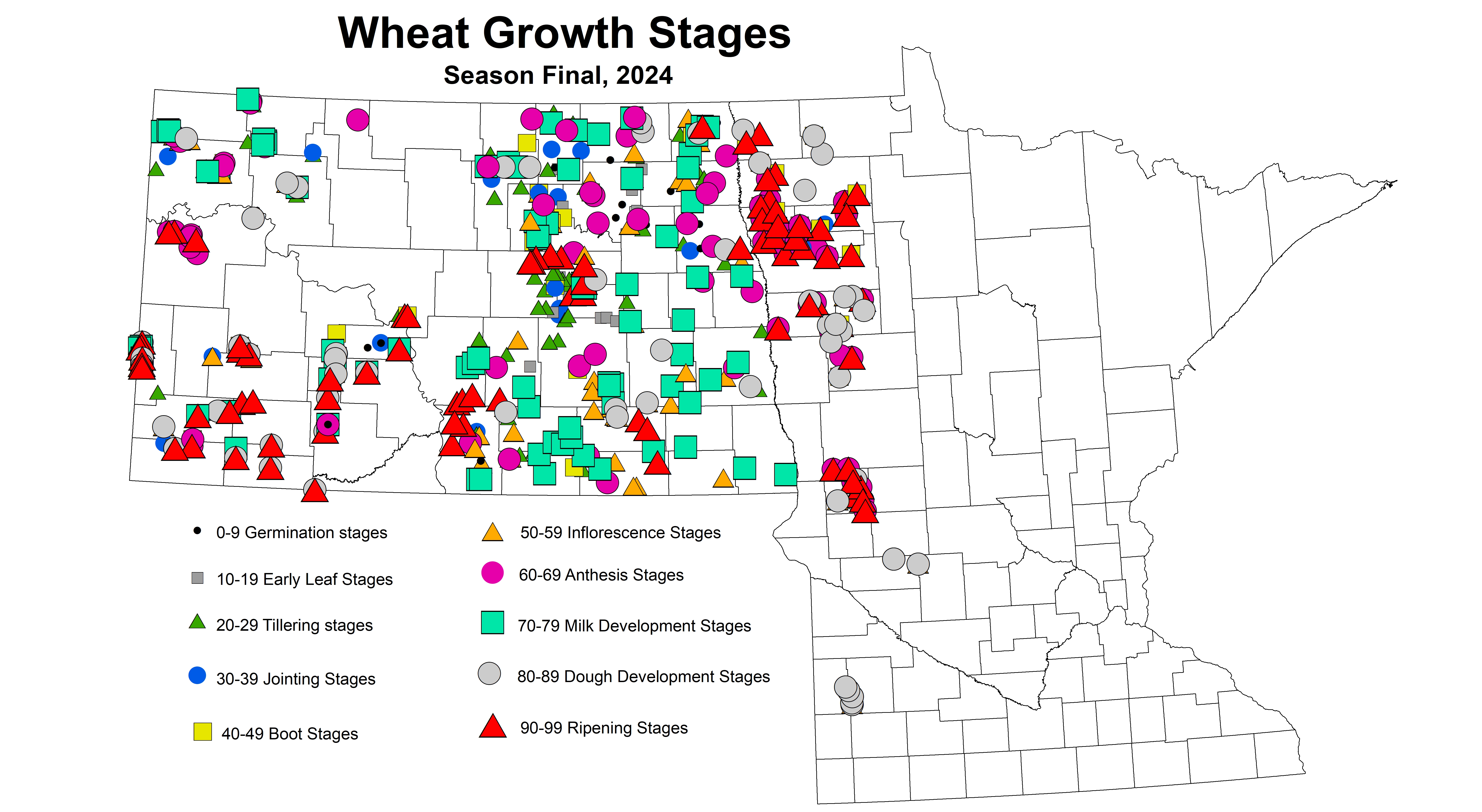 Wheat growth stages Season Final 2024