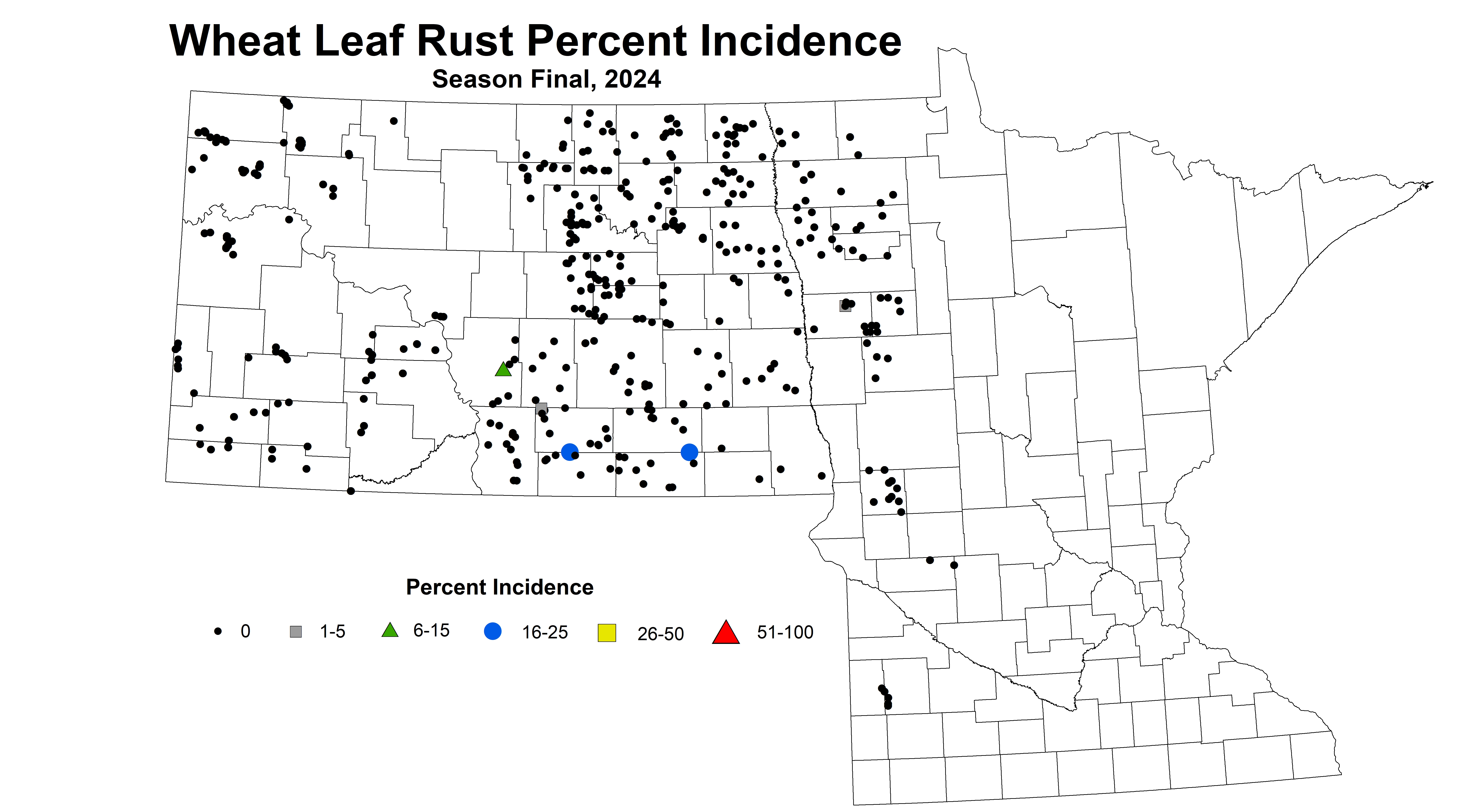 Wheat leaf rust incidence Season Final 2024