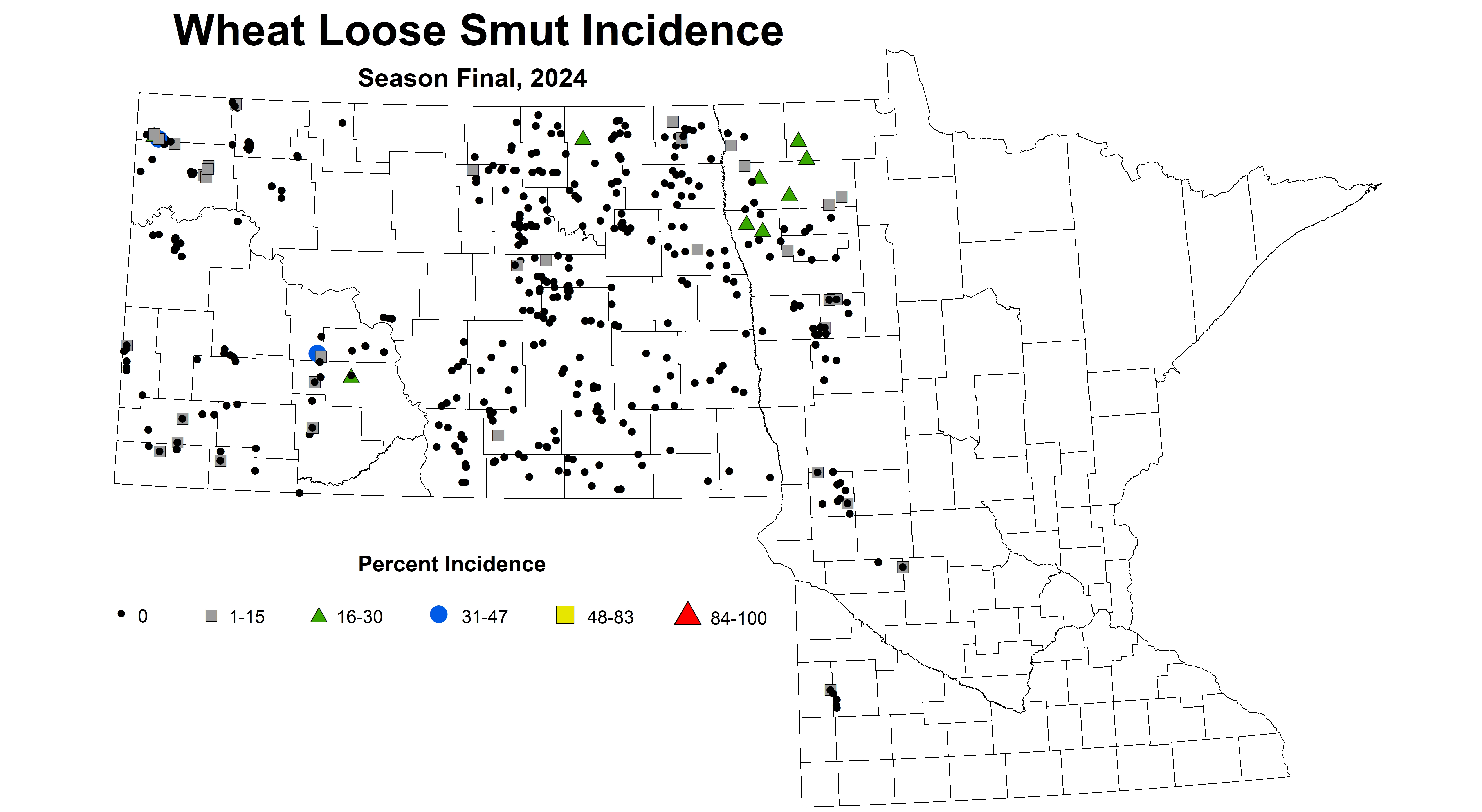 Wheat loose smut incidence Season Final 2024