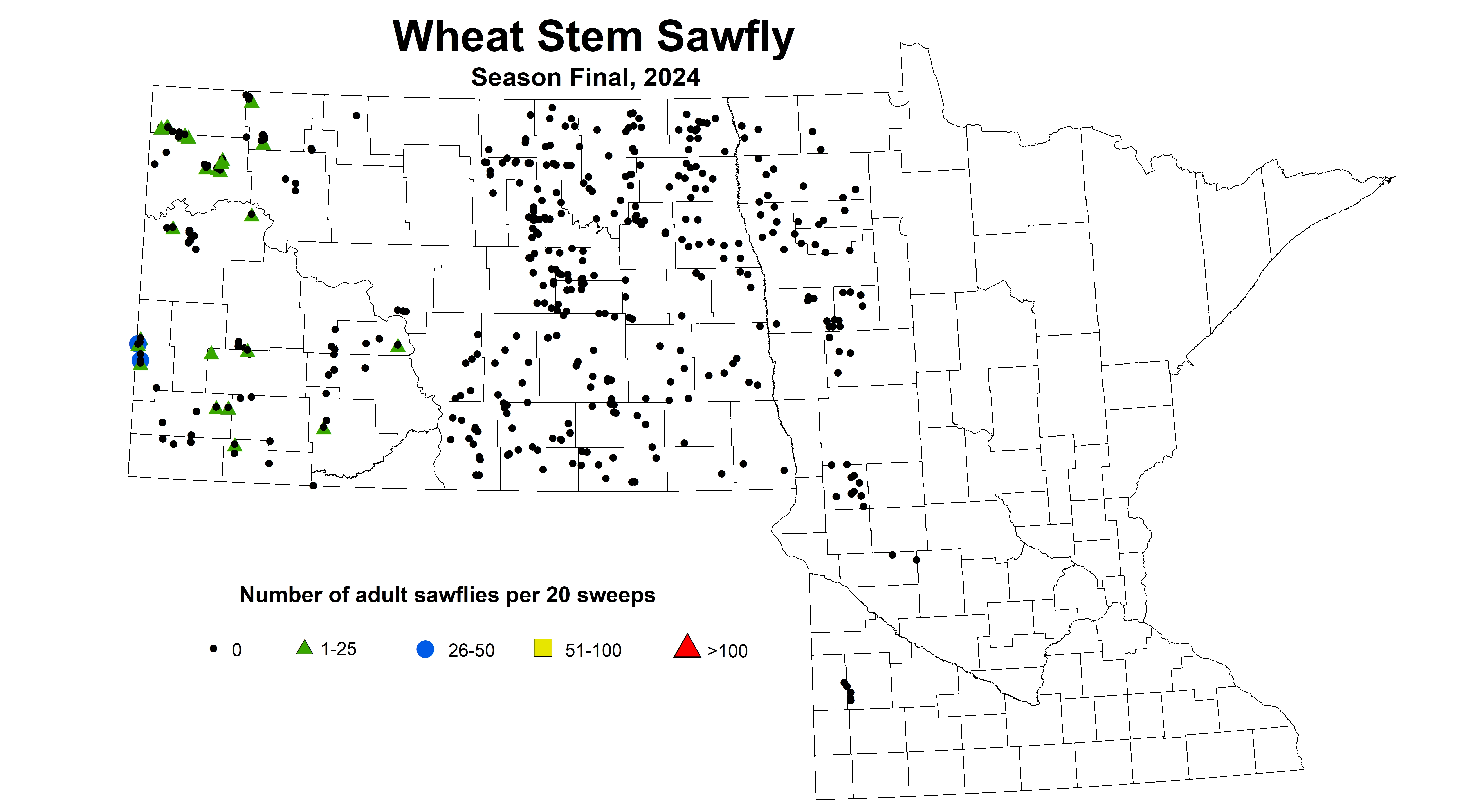 Wheat sawfly Season Final 2024